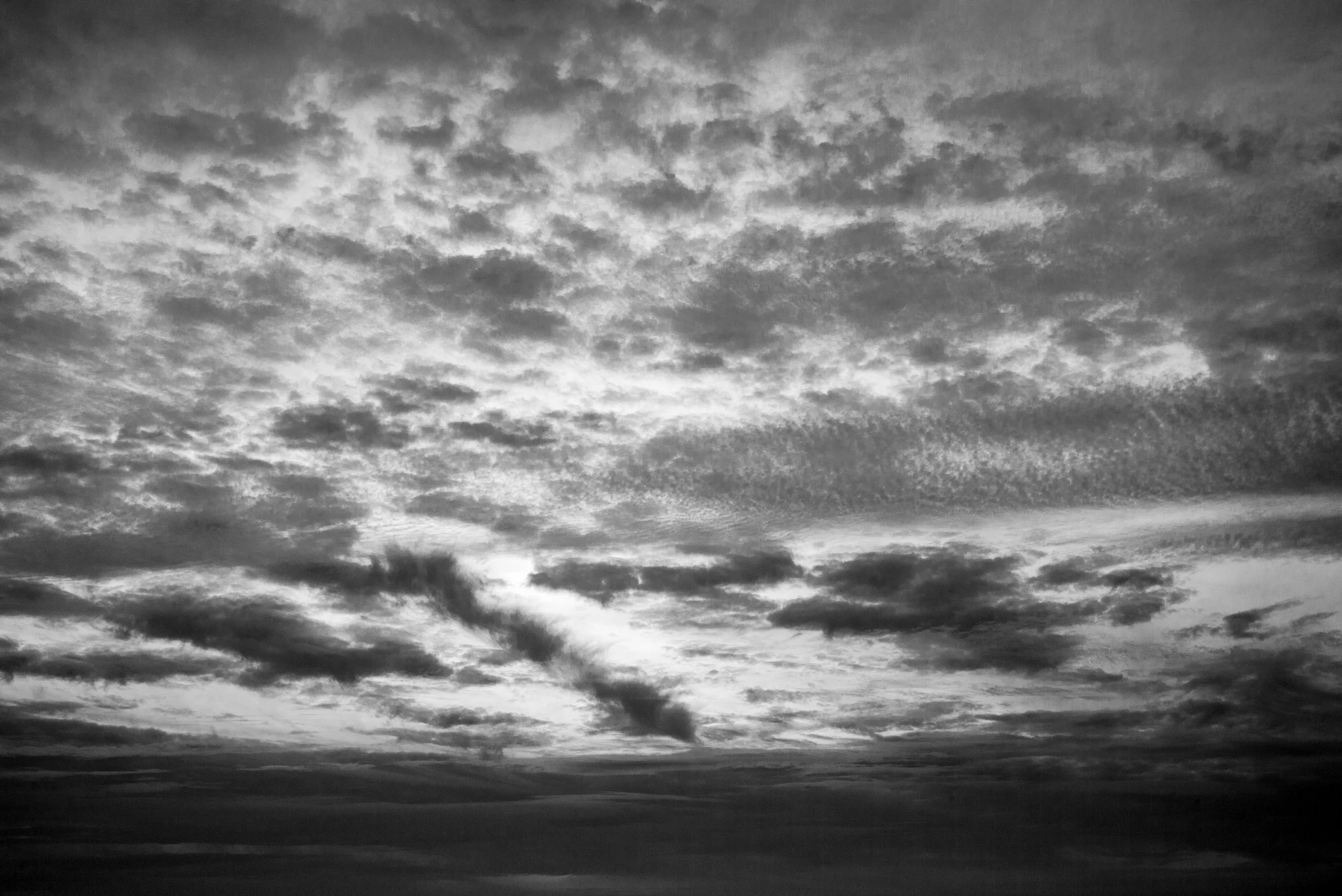 L1007507.jpg
