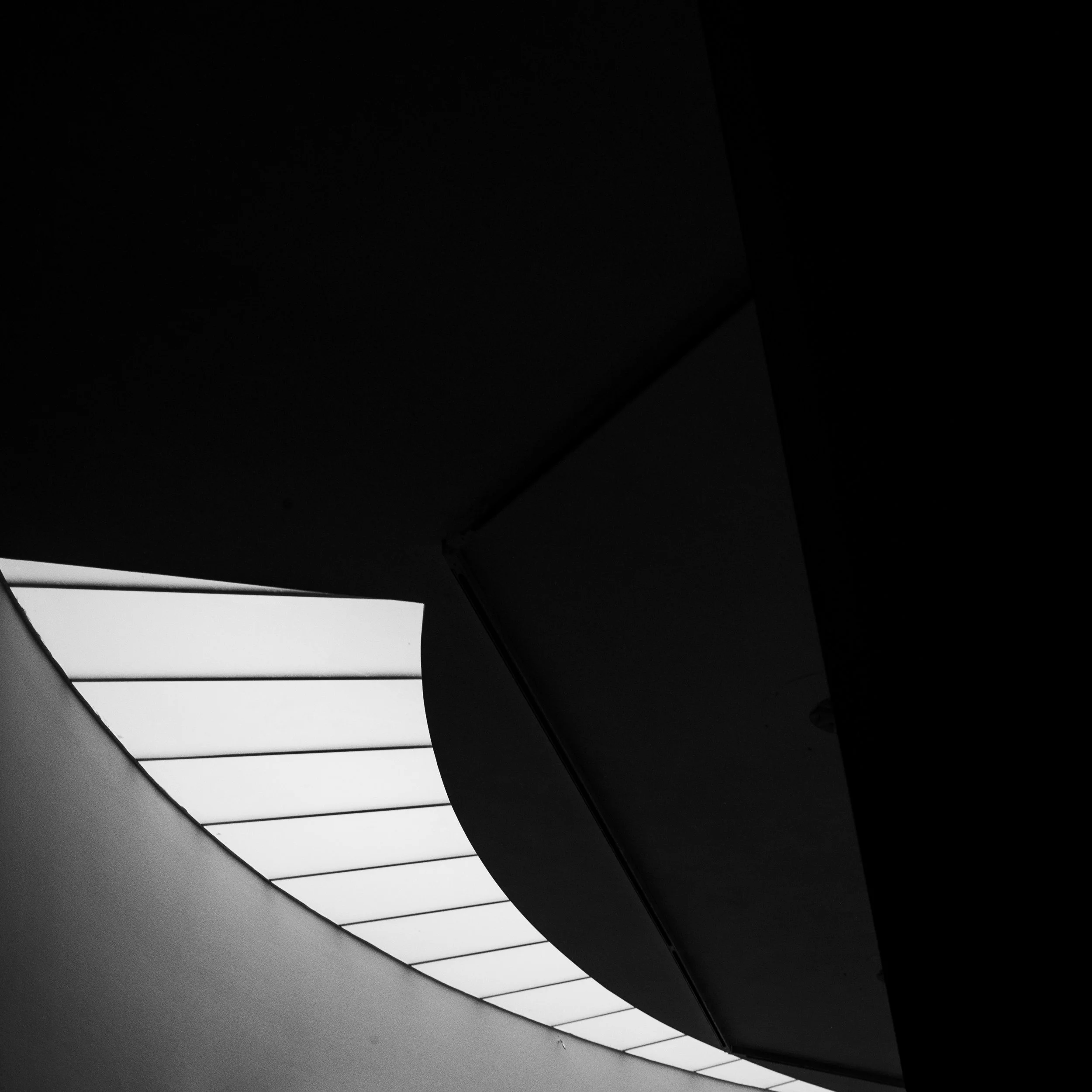 L1006632.jpg