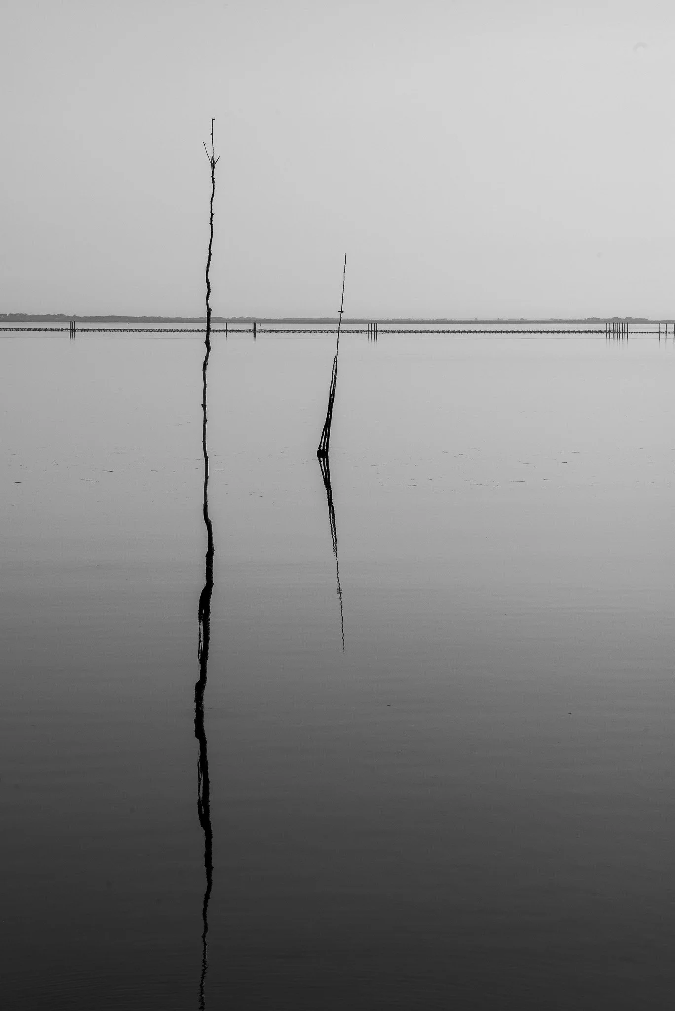 L1008675.jpg
