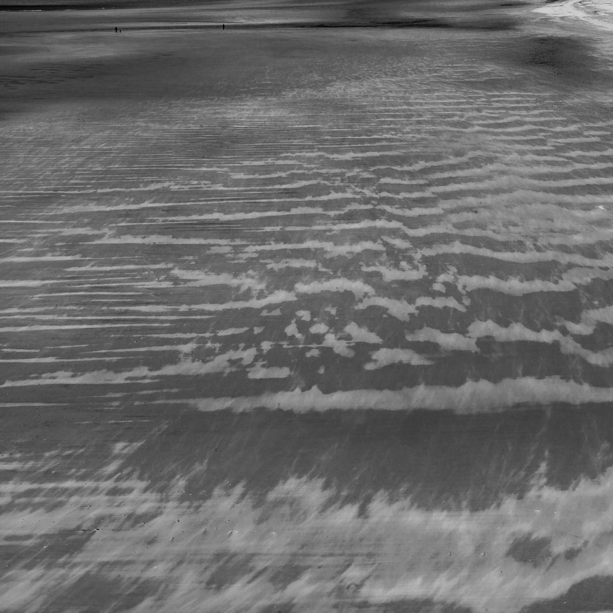 L1003943.jpg
