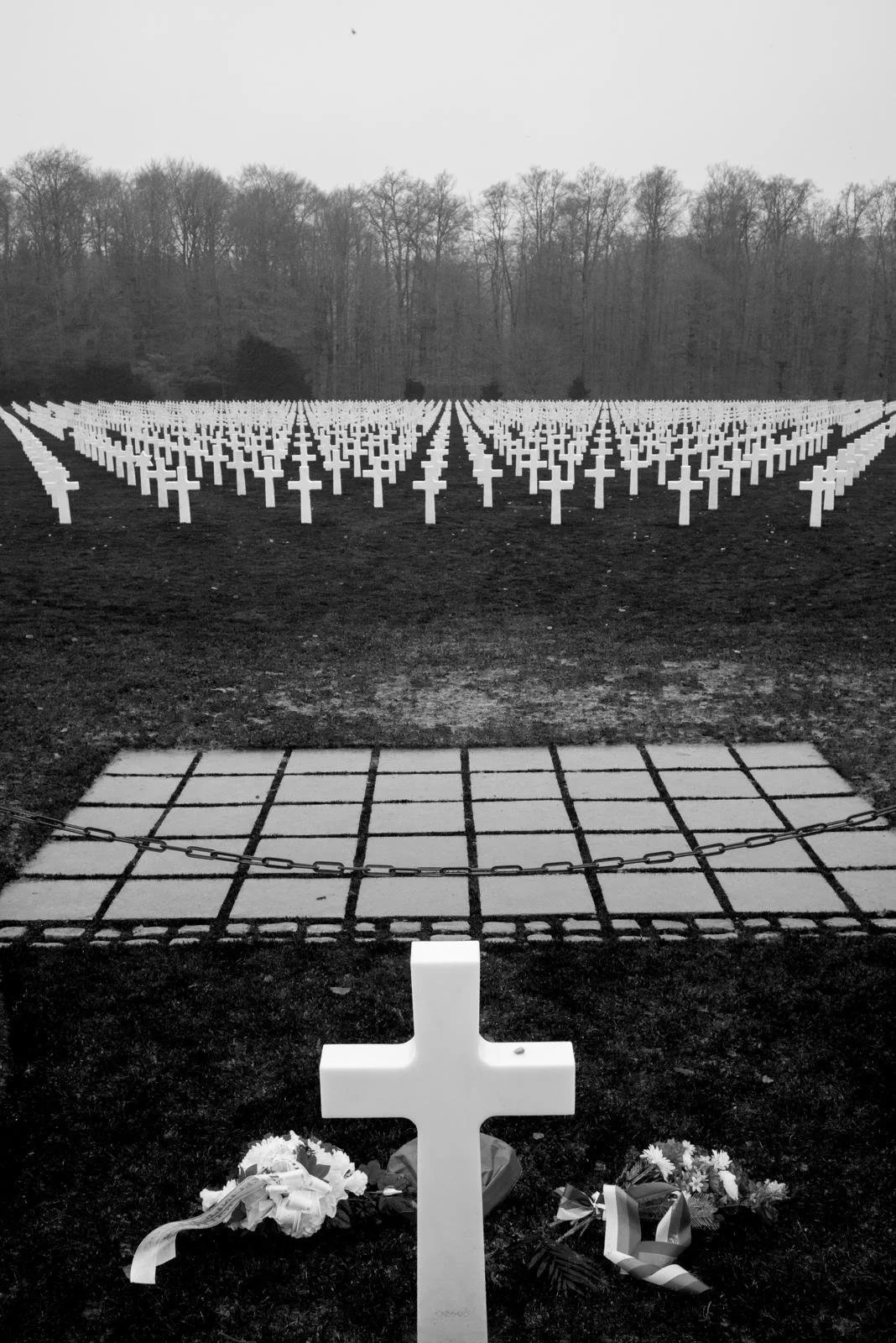 WhatsApp Image 2025-12-23 at 22.23.20 (9).jpeg