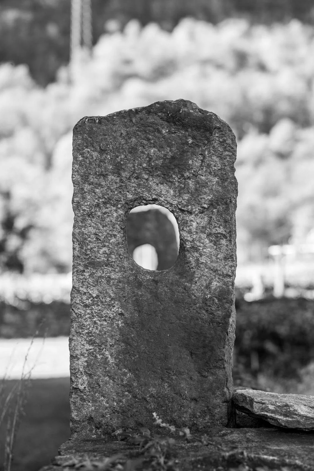 WhatsApp Image 2025-12-23 at 22.23.19 (2).jpeg