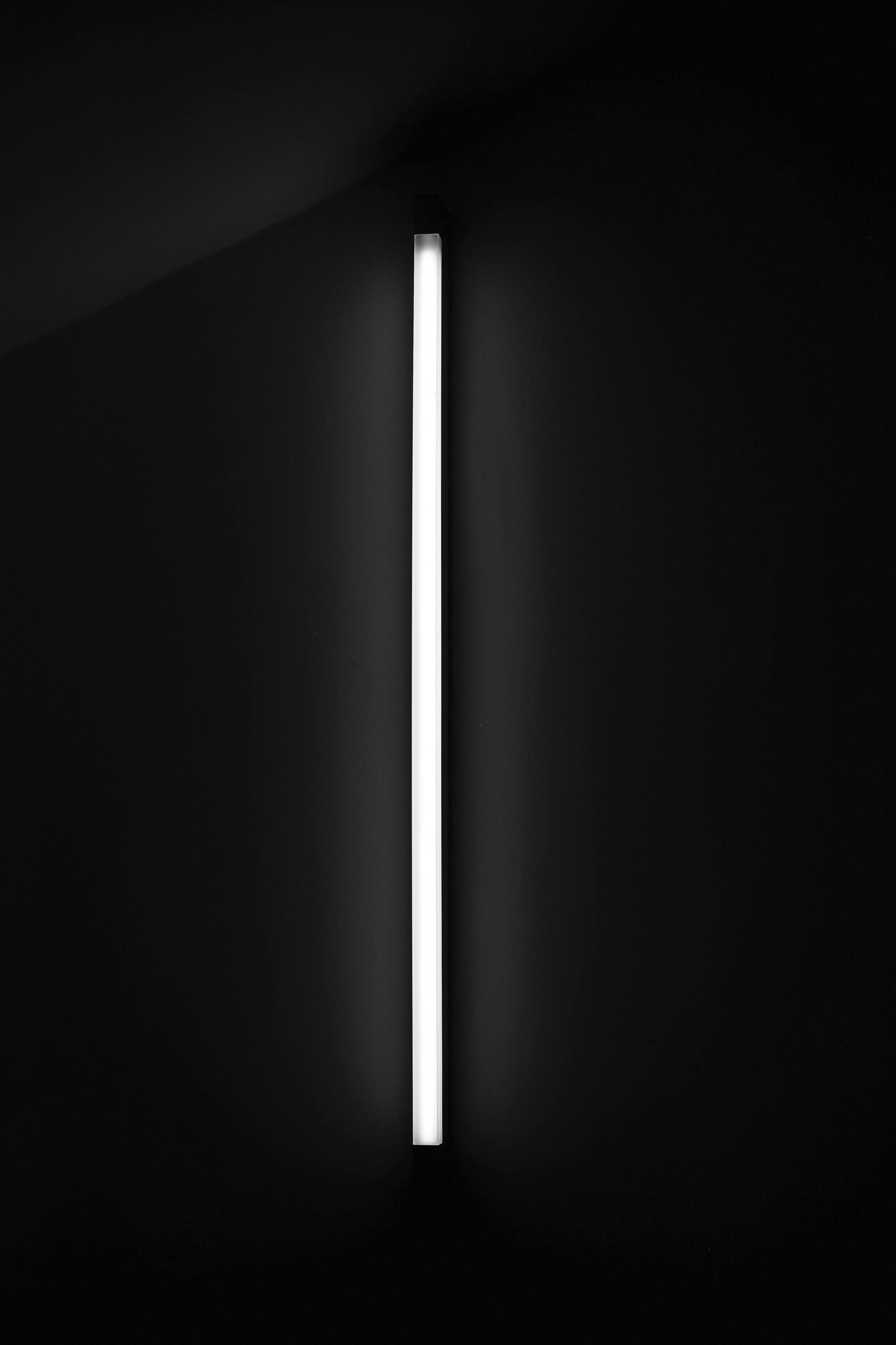L1006924.jpg