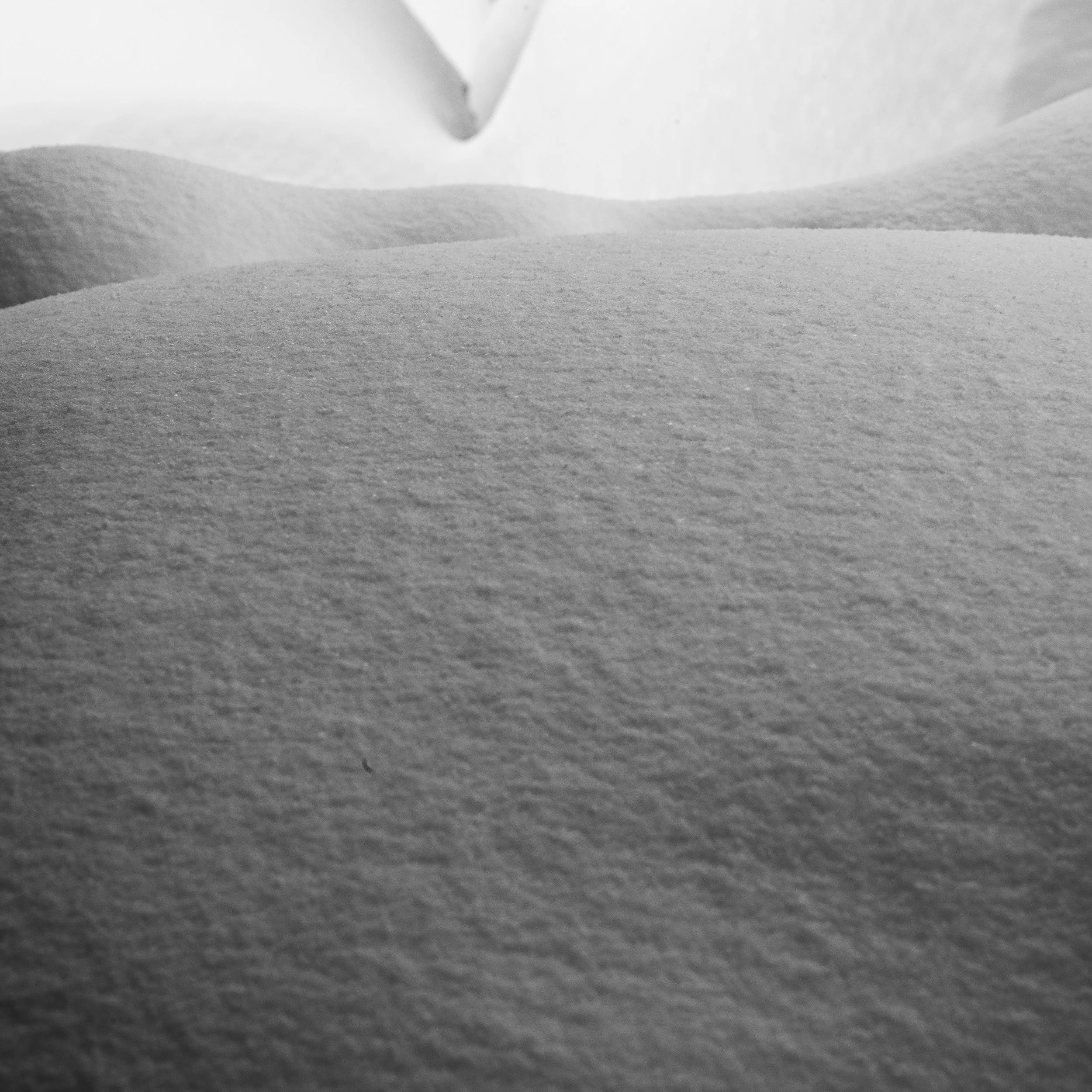 L1005201.jpg