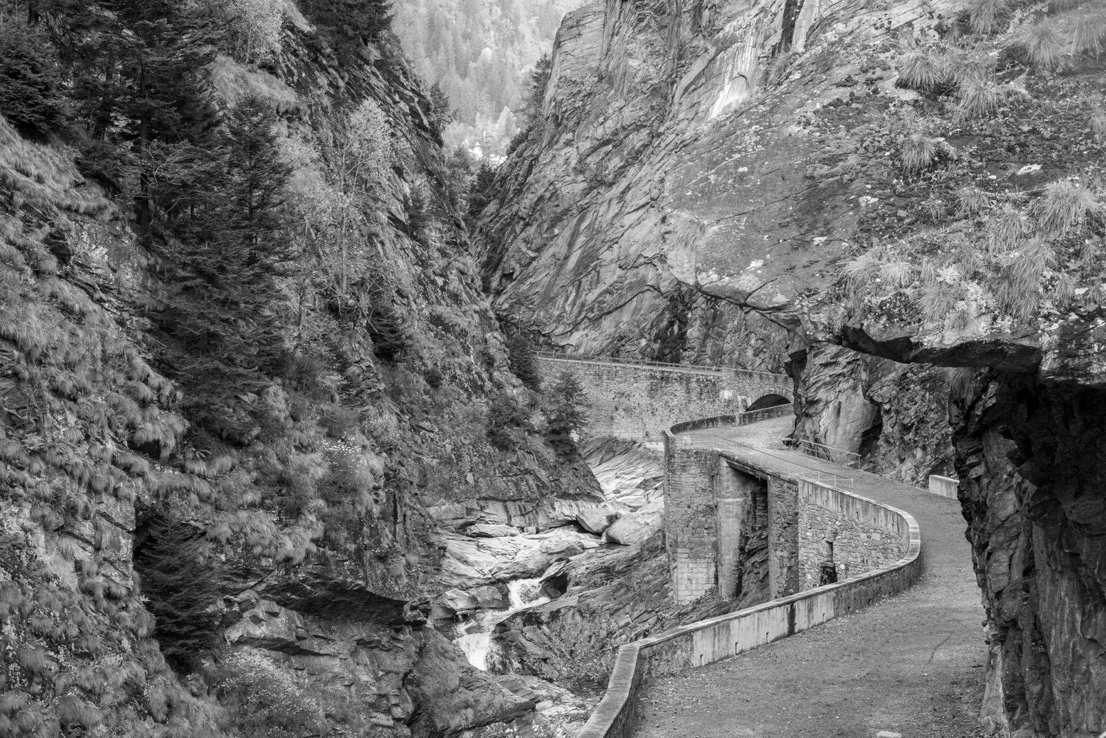 WhatsApp Image 2025-12-23 at 22.23.19.jpeg