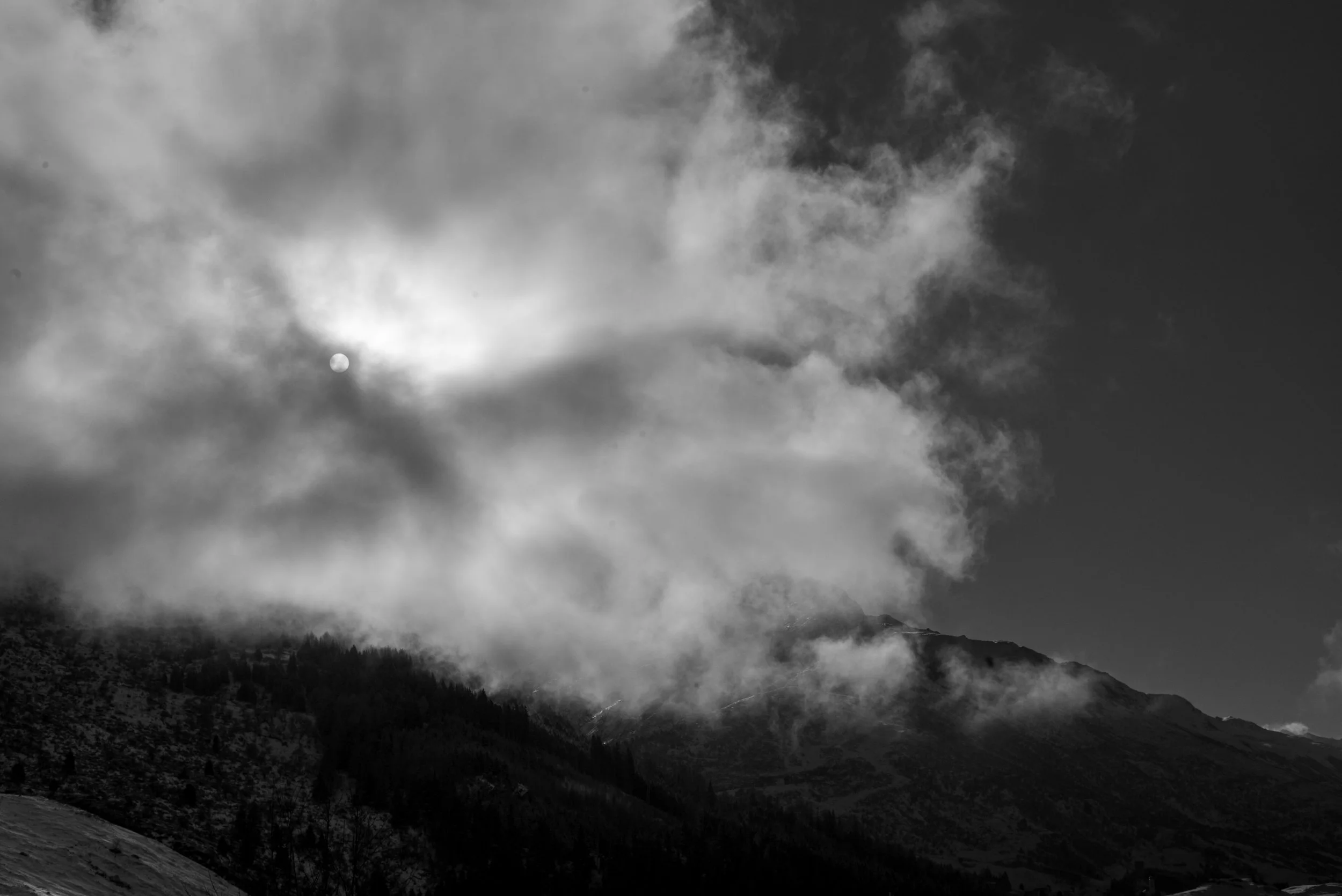 L1008163.jpg