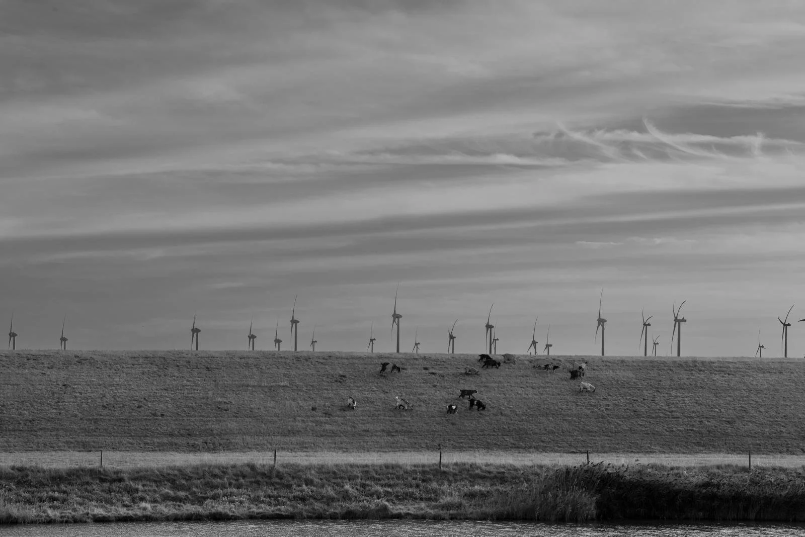 WhatsApp Image 2025-12-23 at 22.23.16 (7).jpeg