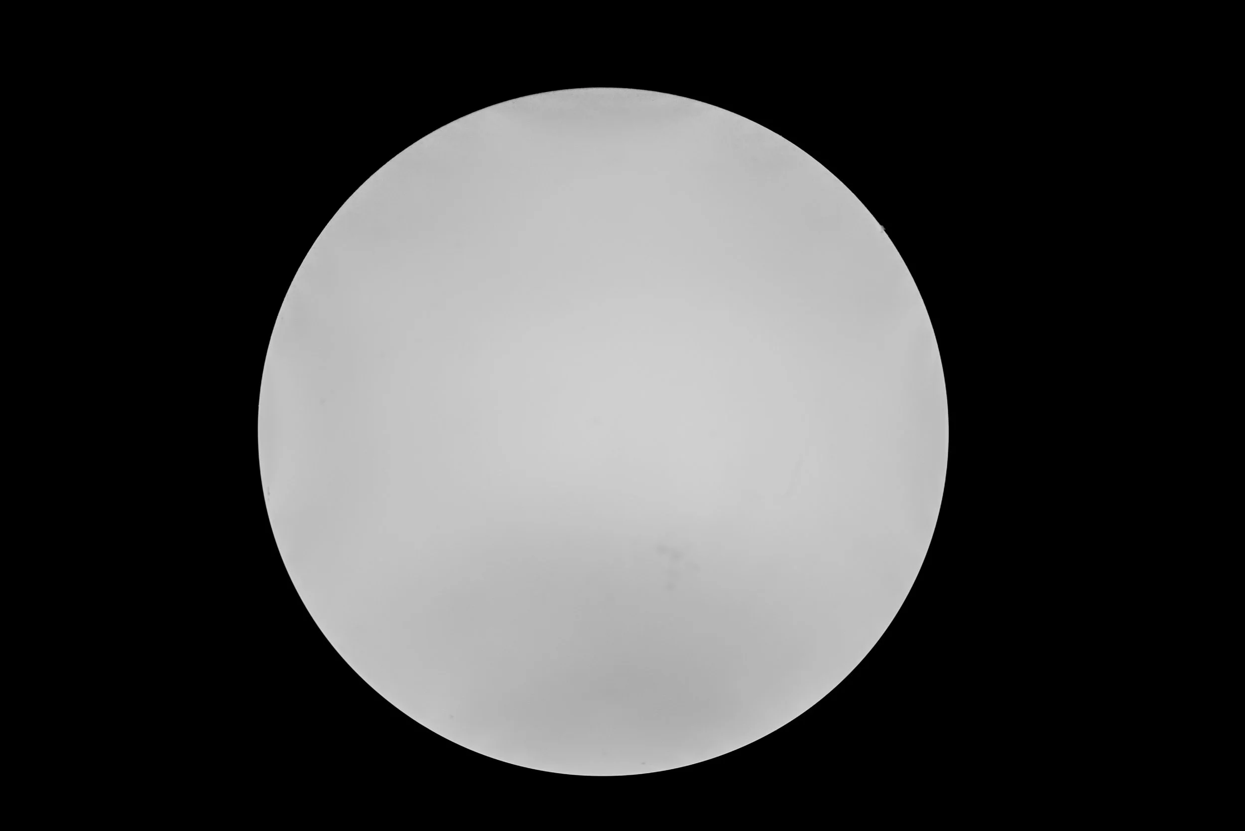 L1007195.jpg