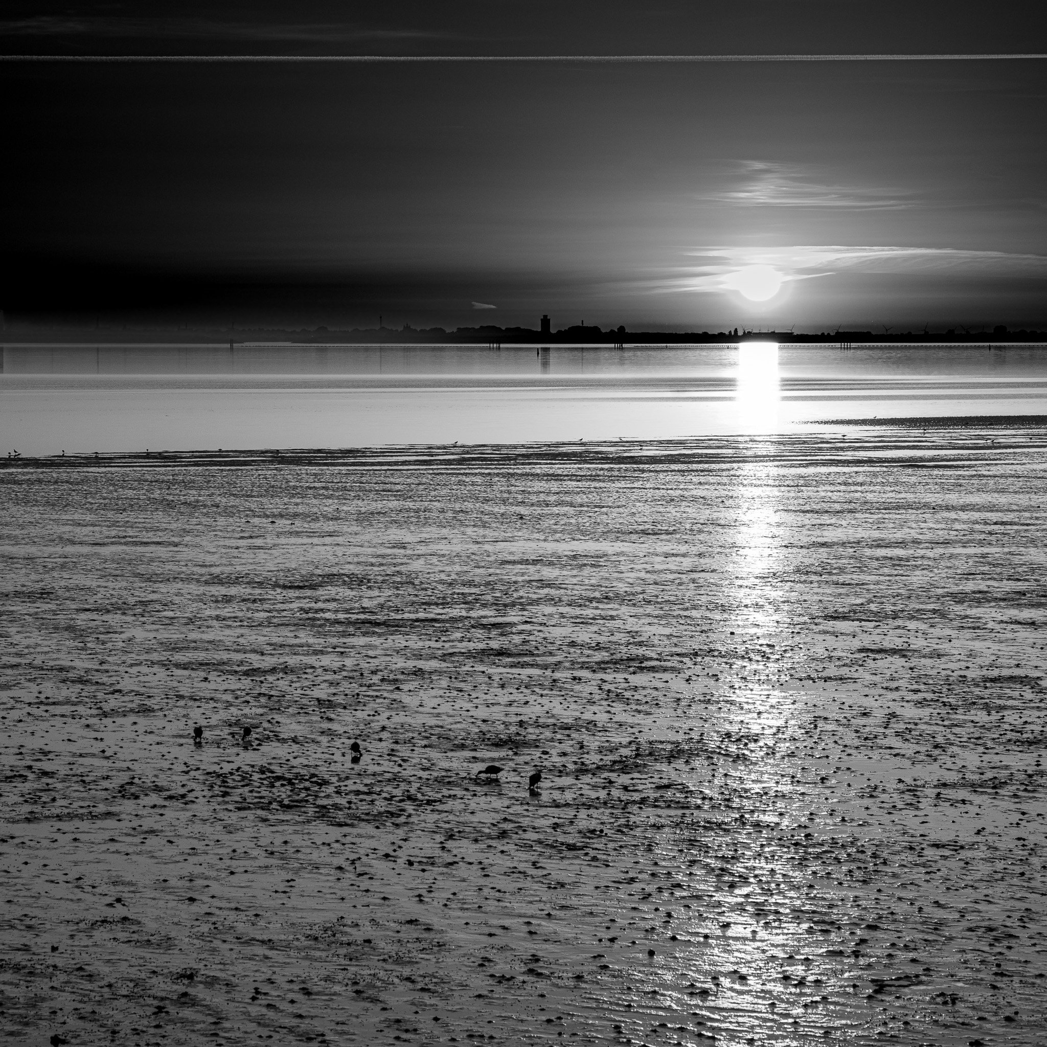 L1008653.jpg