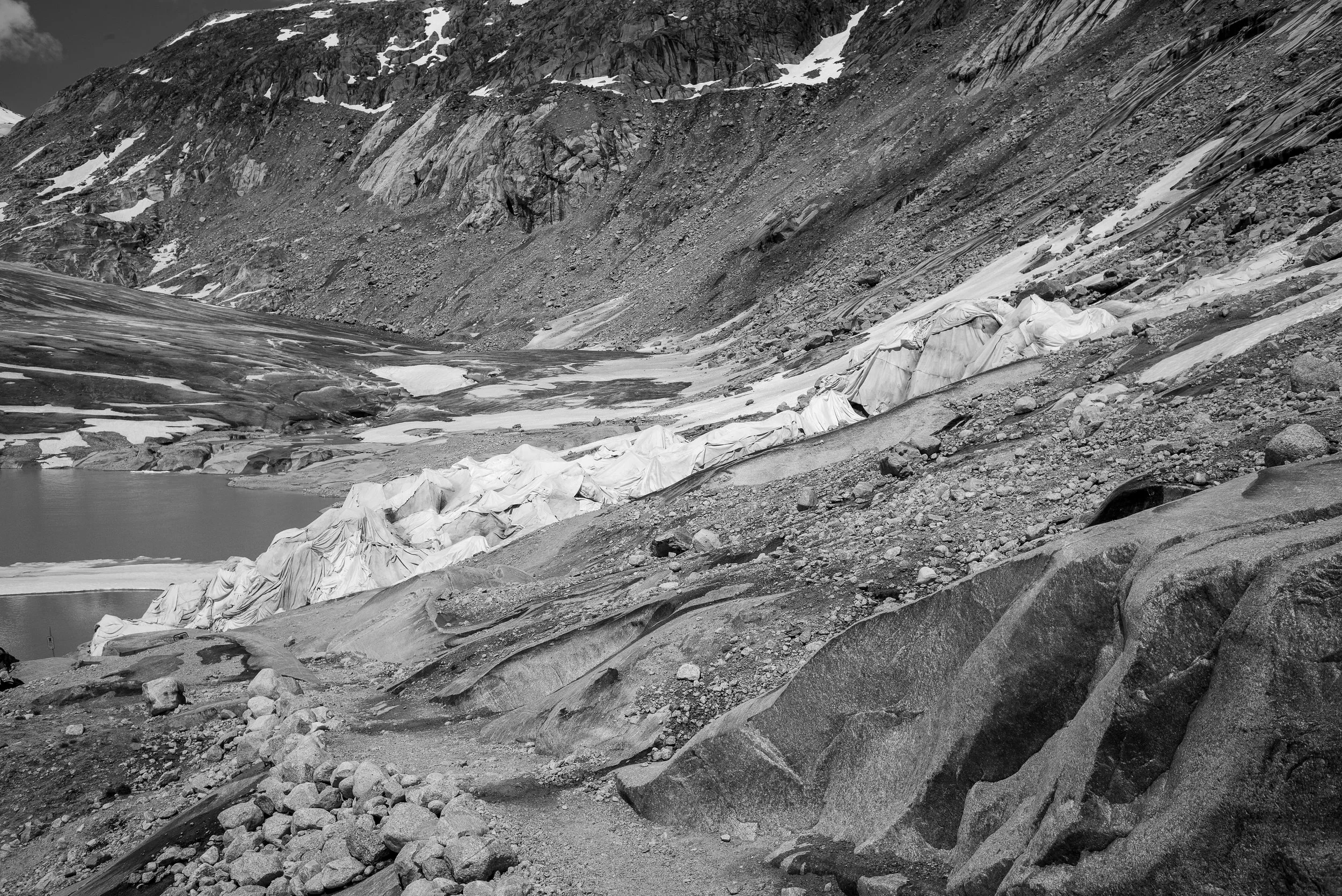 L1008886.jpg