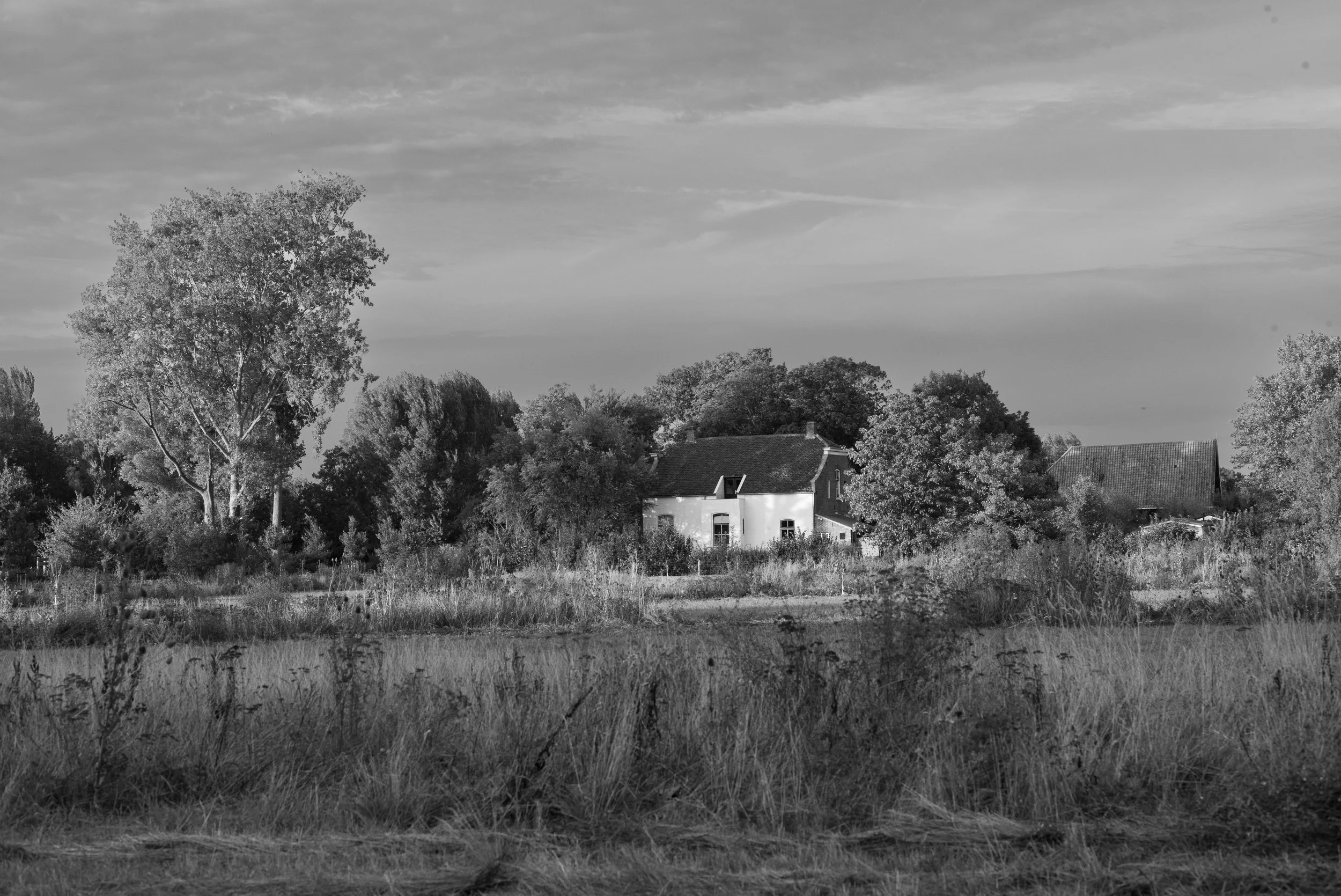 L1007384.jpg