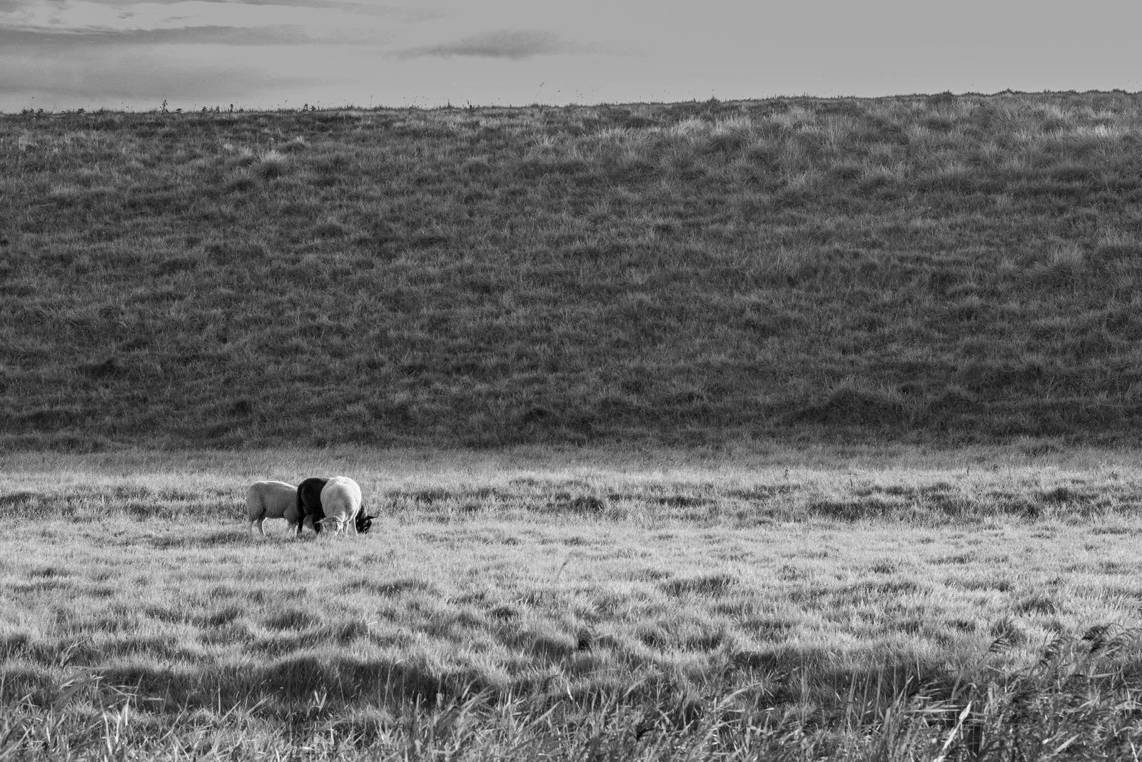 WhatsApp Image 2025-12-23 at 22.23.17 (1).jpeg