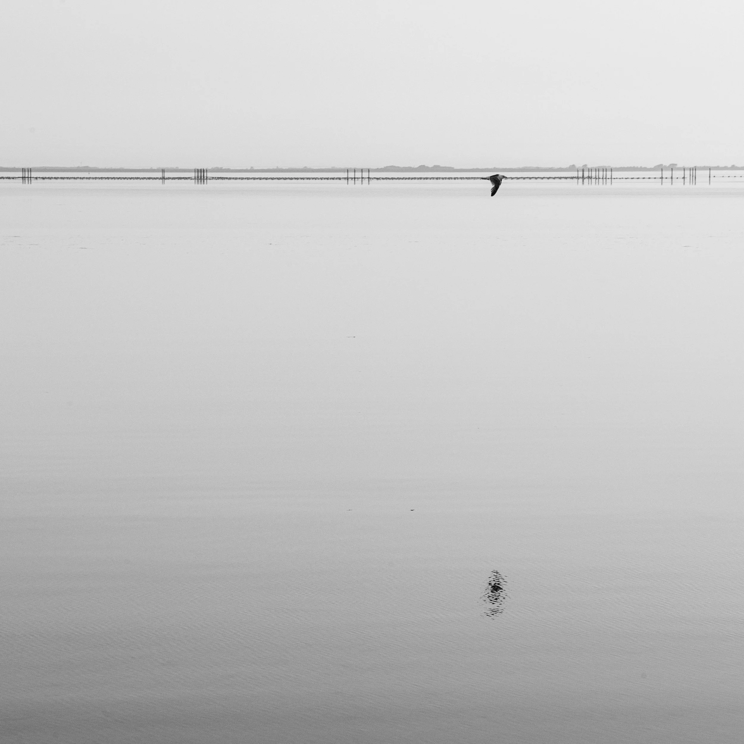 L1008668.jpg