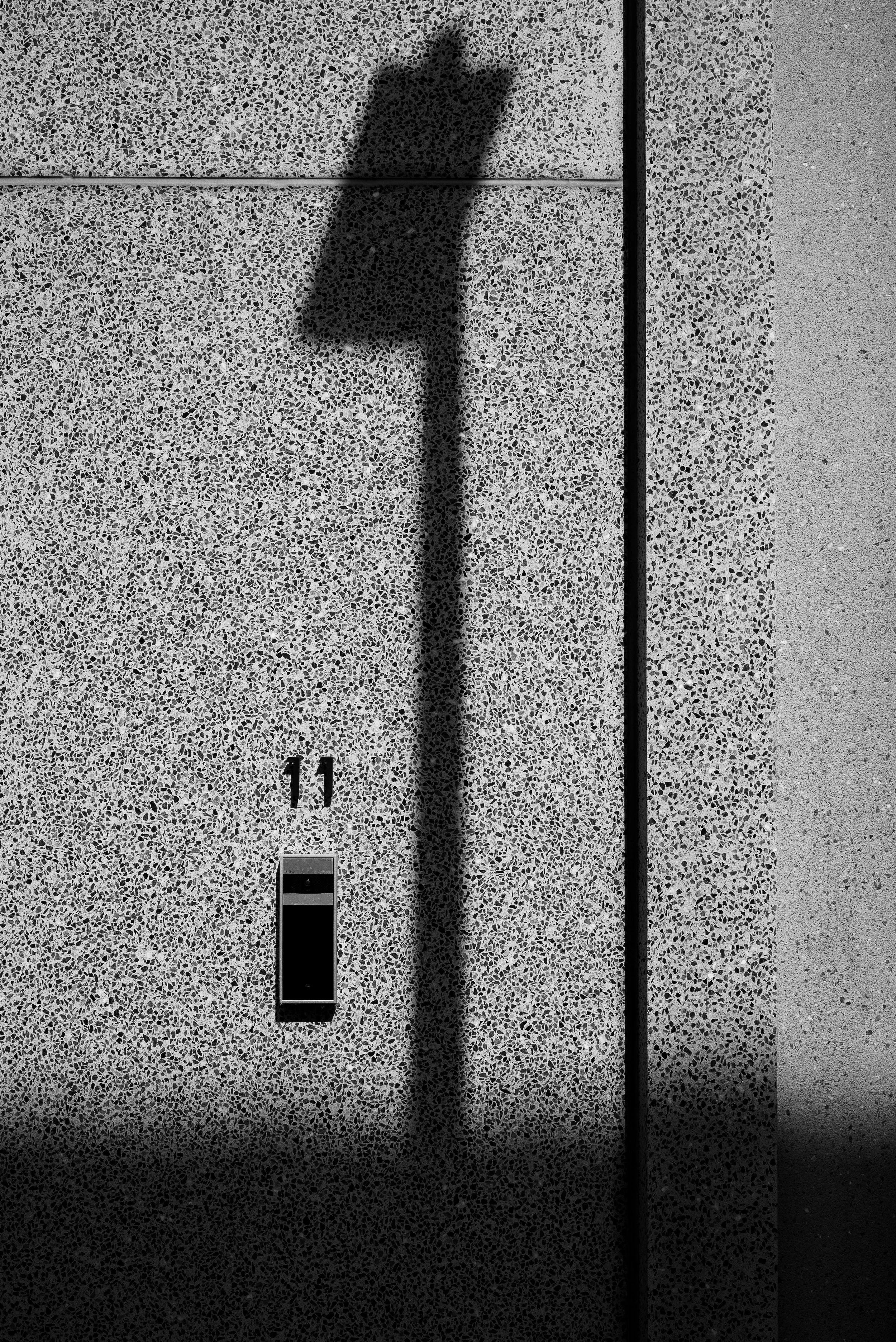 L1006608.jpg