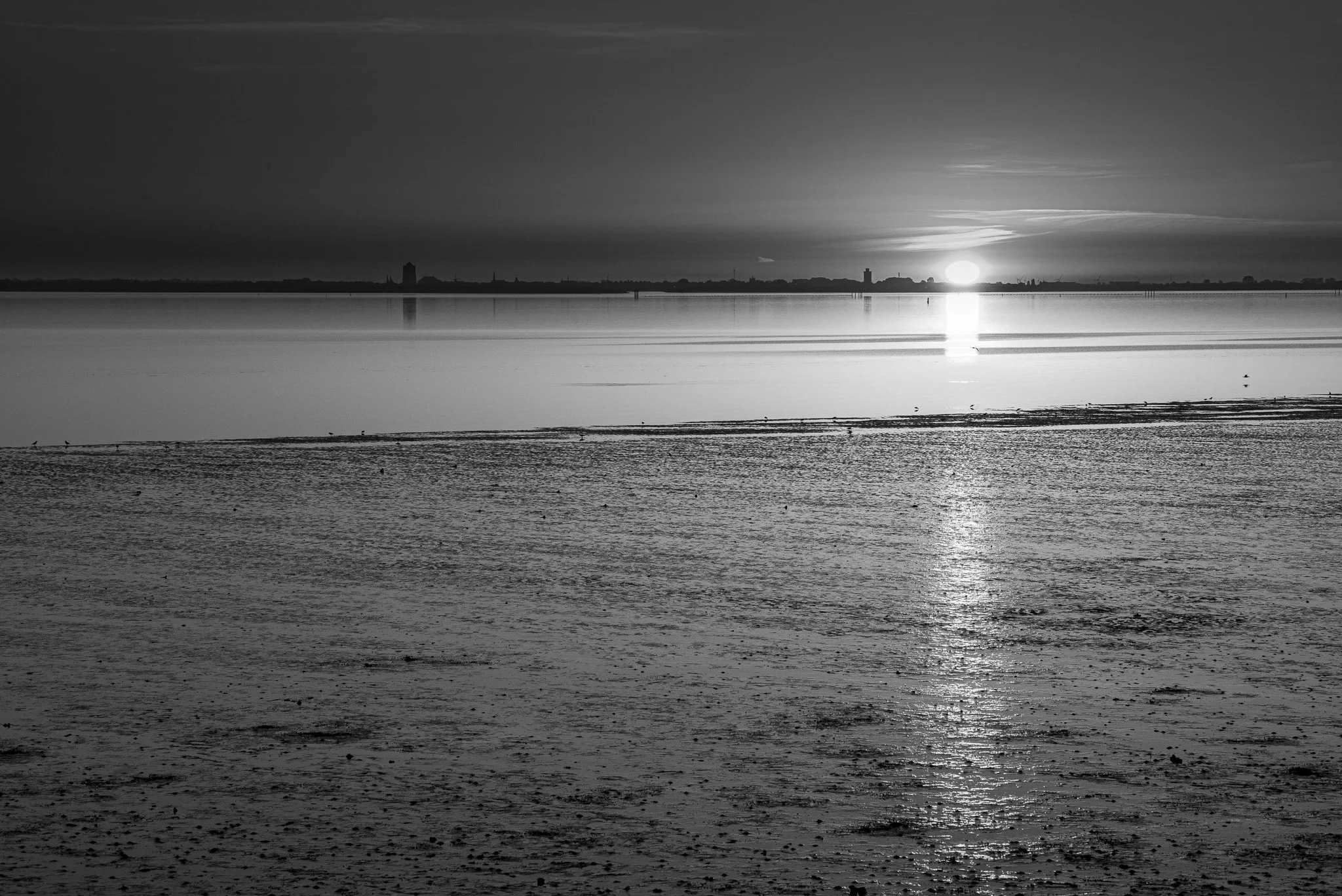 L1008642.jpg