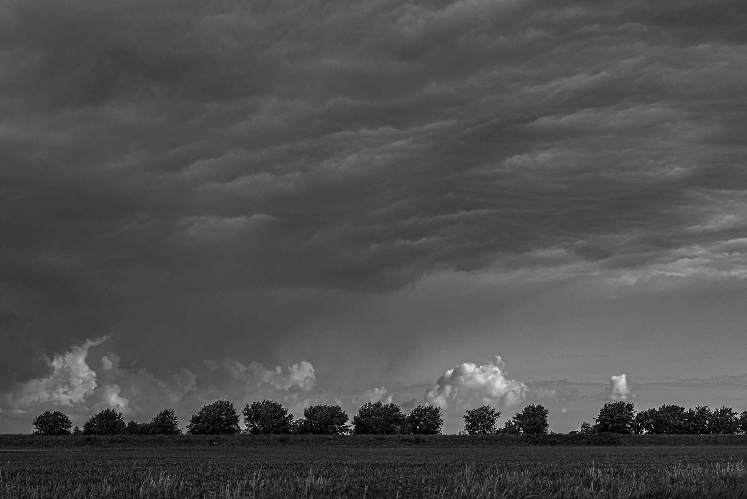 L1008593.jpg