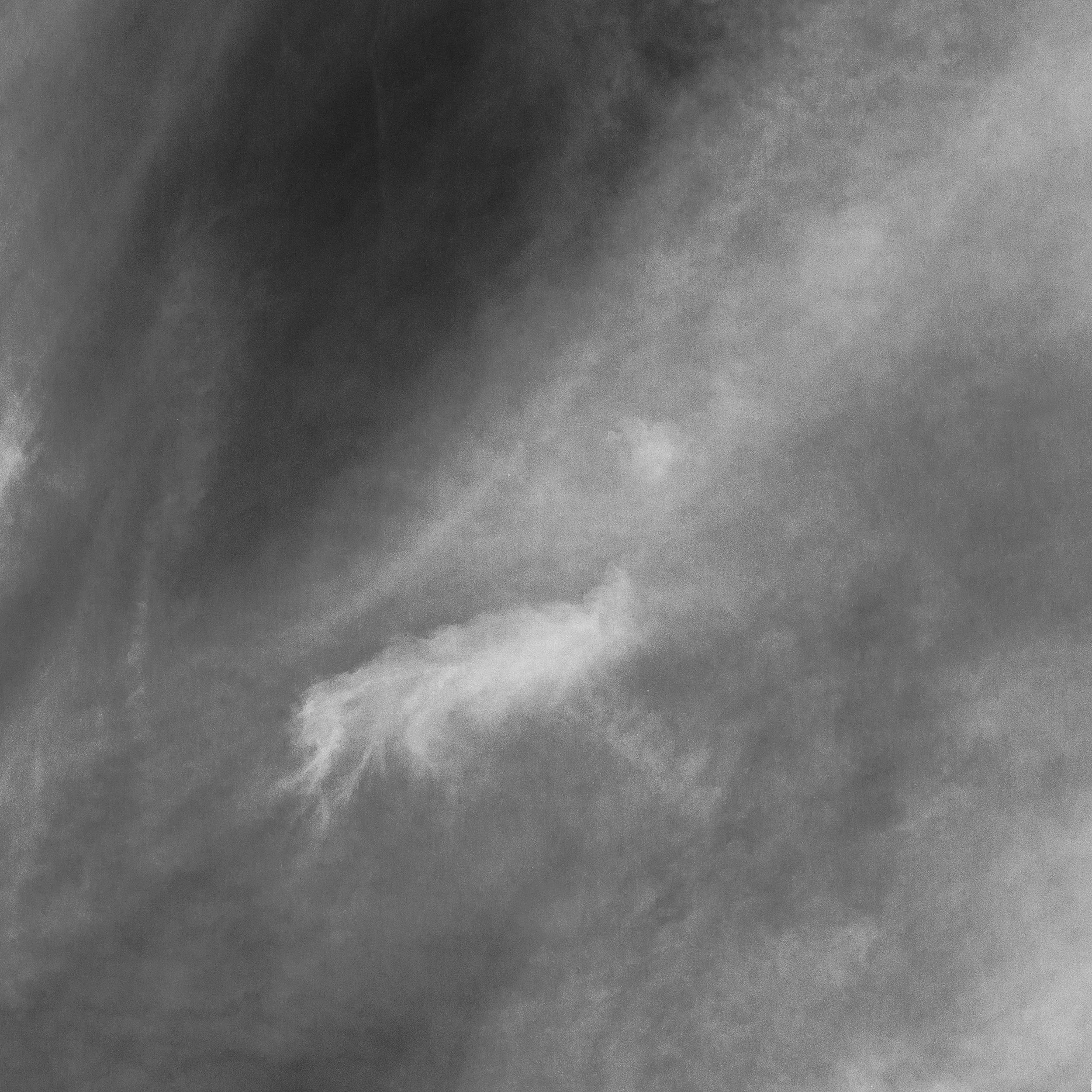 L1006620.jpg