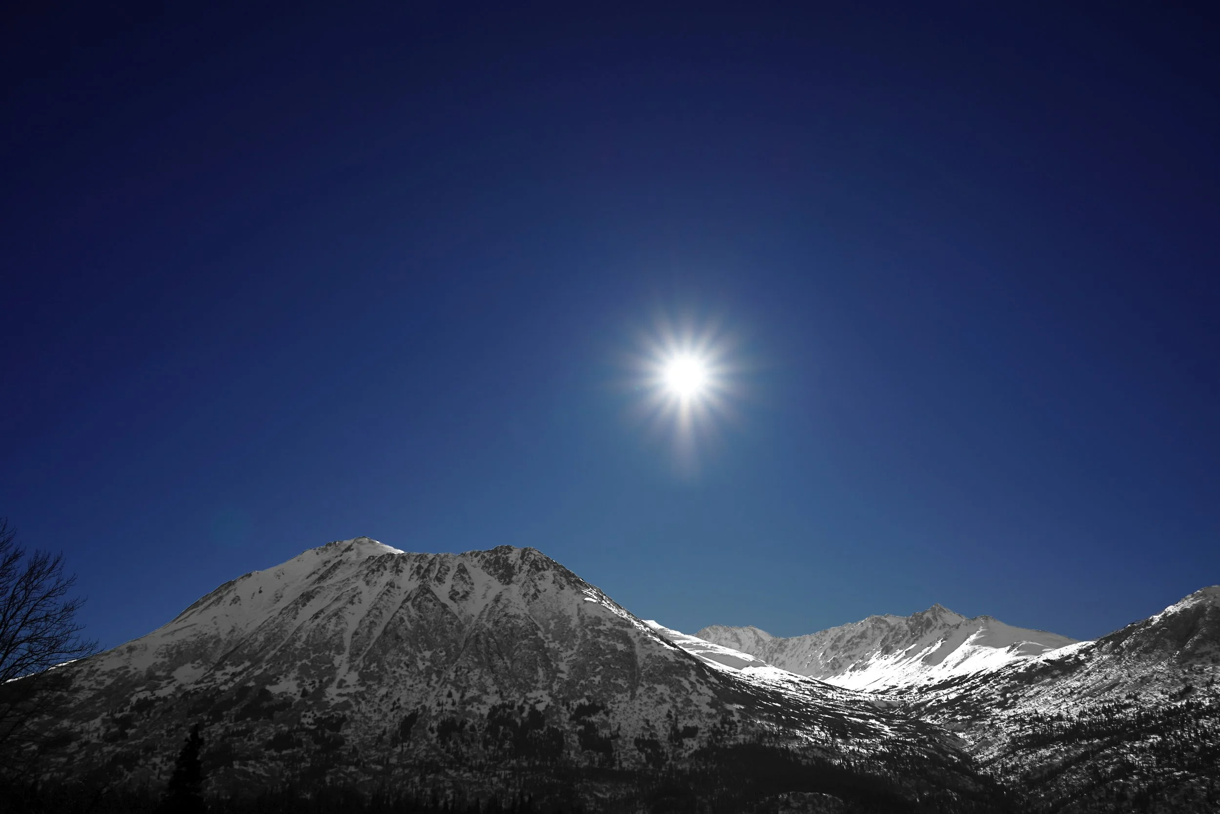 Diagnosis &amp; Conceptualization