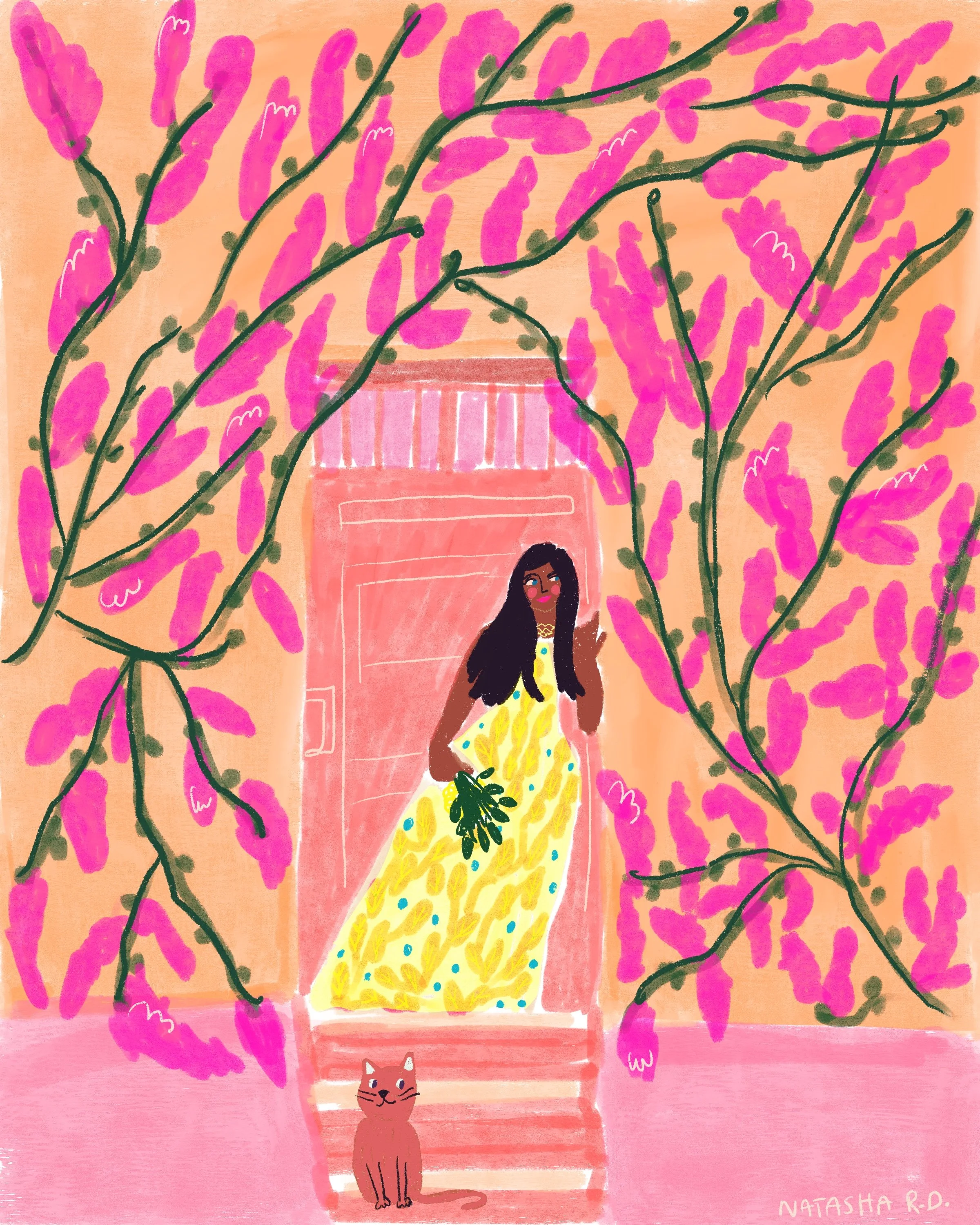 Bougainvillea Dreams