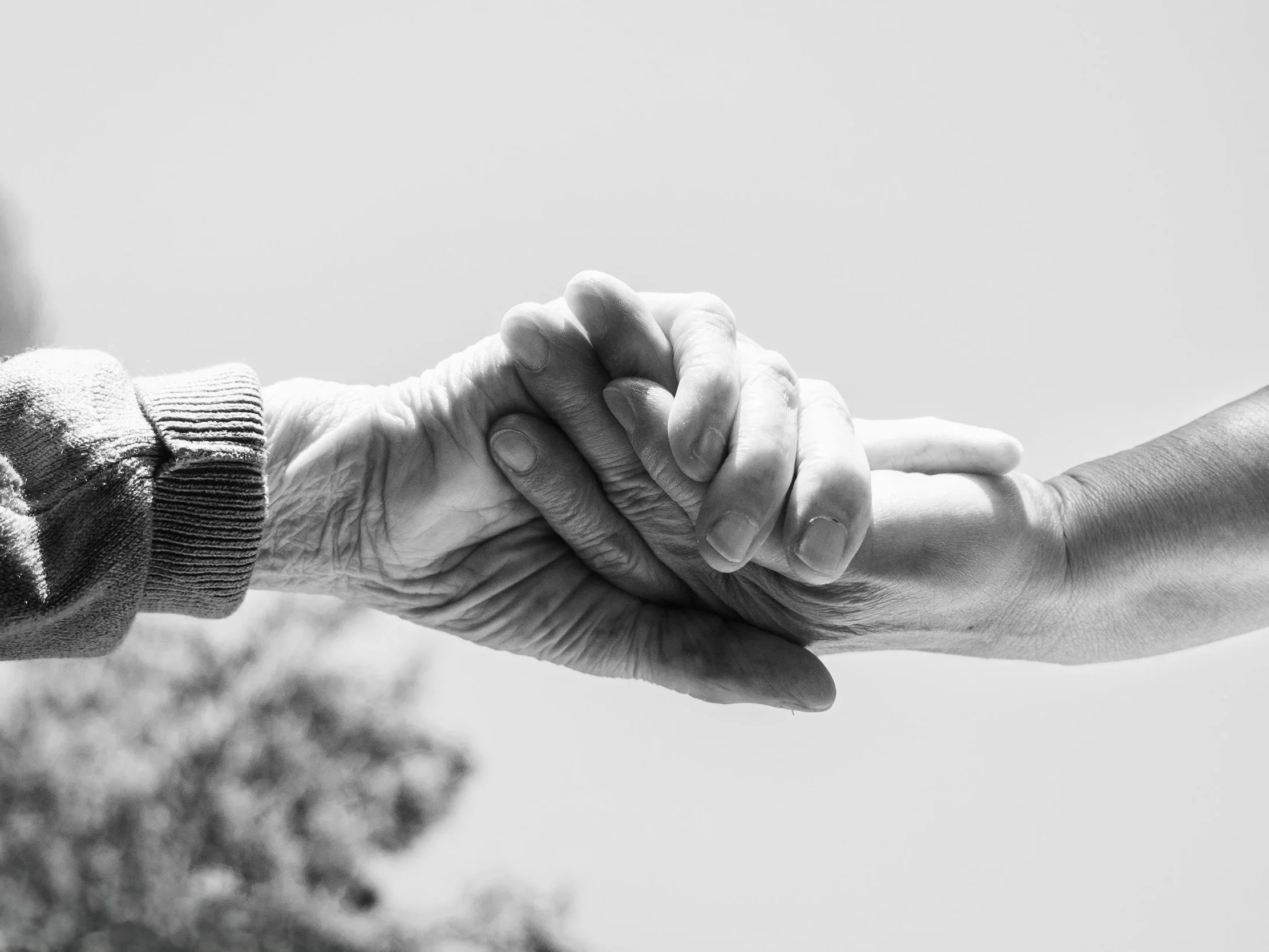 Deux mains, une âgée et une plus jeune, qui se tiennent par la main dans un geste de soutien et de solidarité.