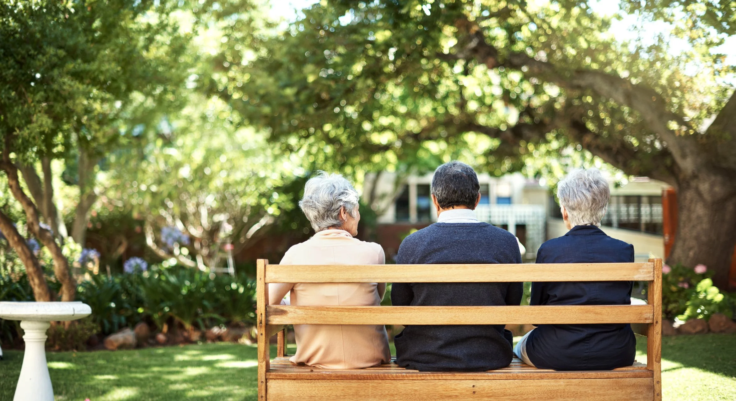 Three elderly people sitting on a wooden park bench with their backs to the camera, talking under a large shade tree on a sunny day.