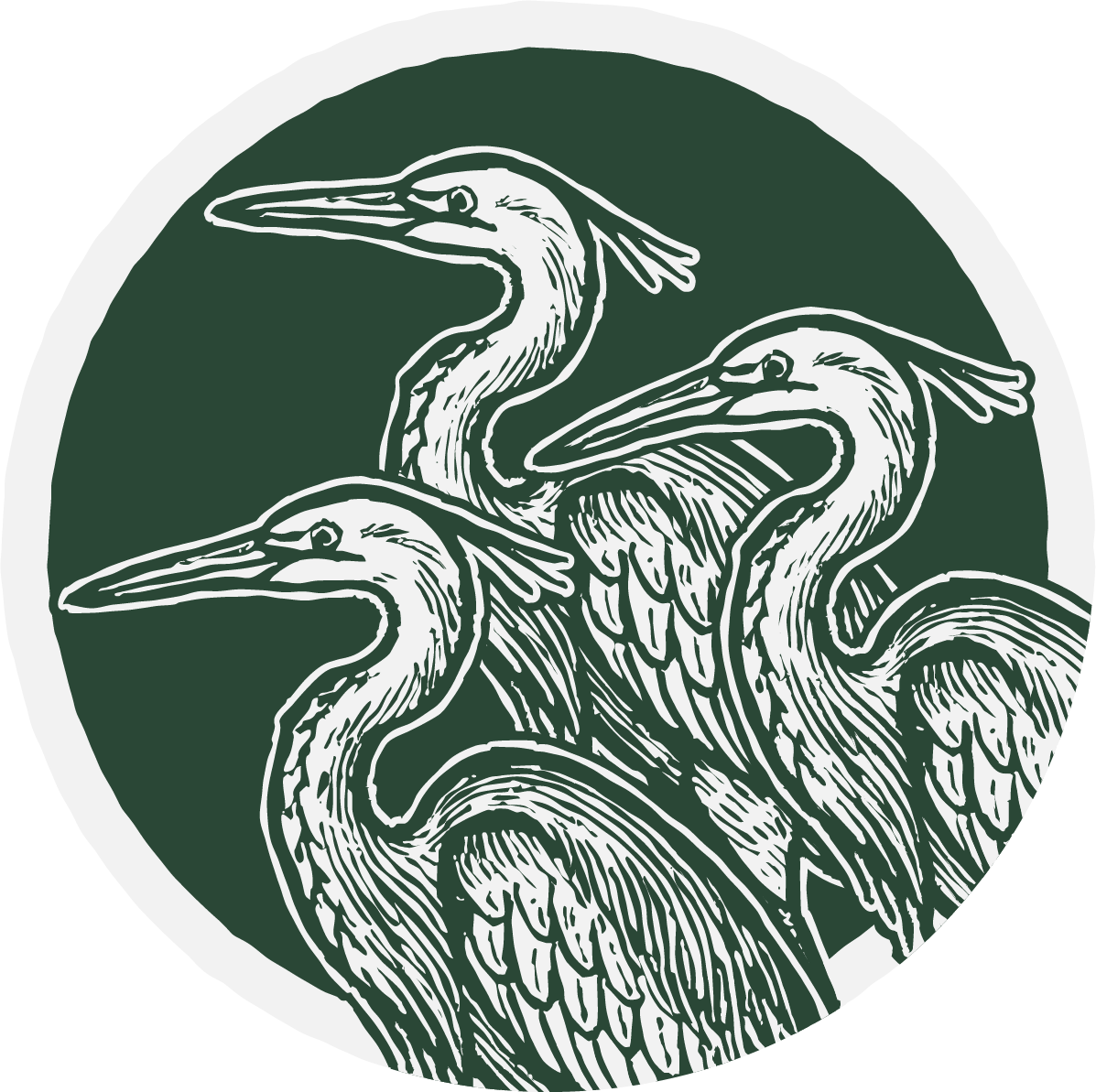 Illustration of four herons with long beaks and necks, set against a dark green background, enclosed by a white circle.