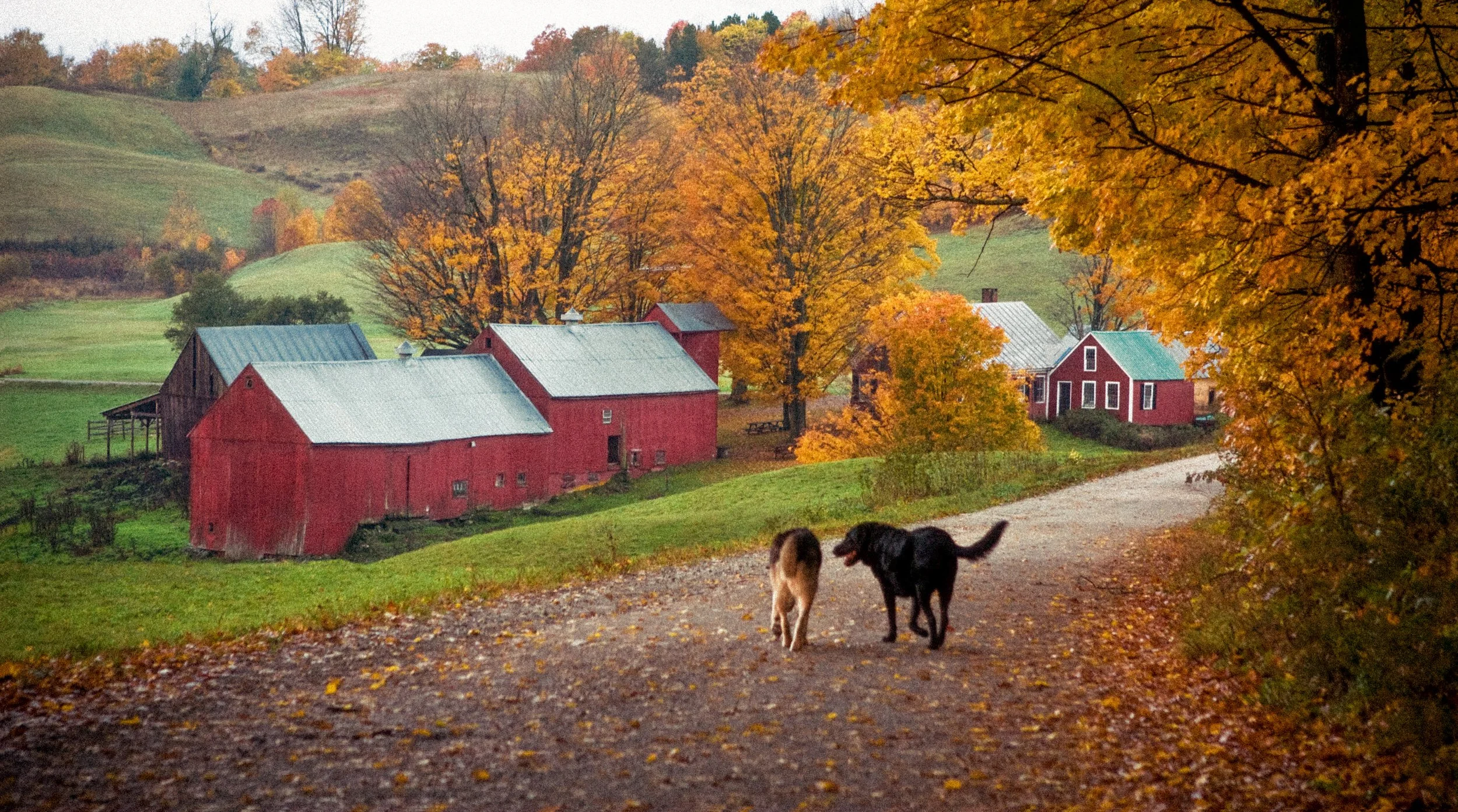 Jenne Farm-Edit1-2.jpg