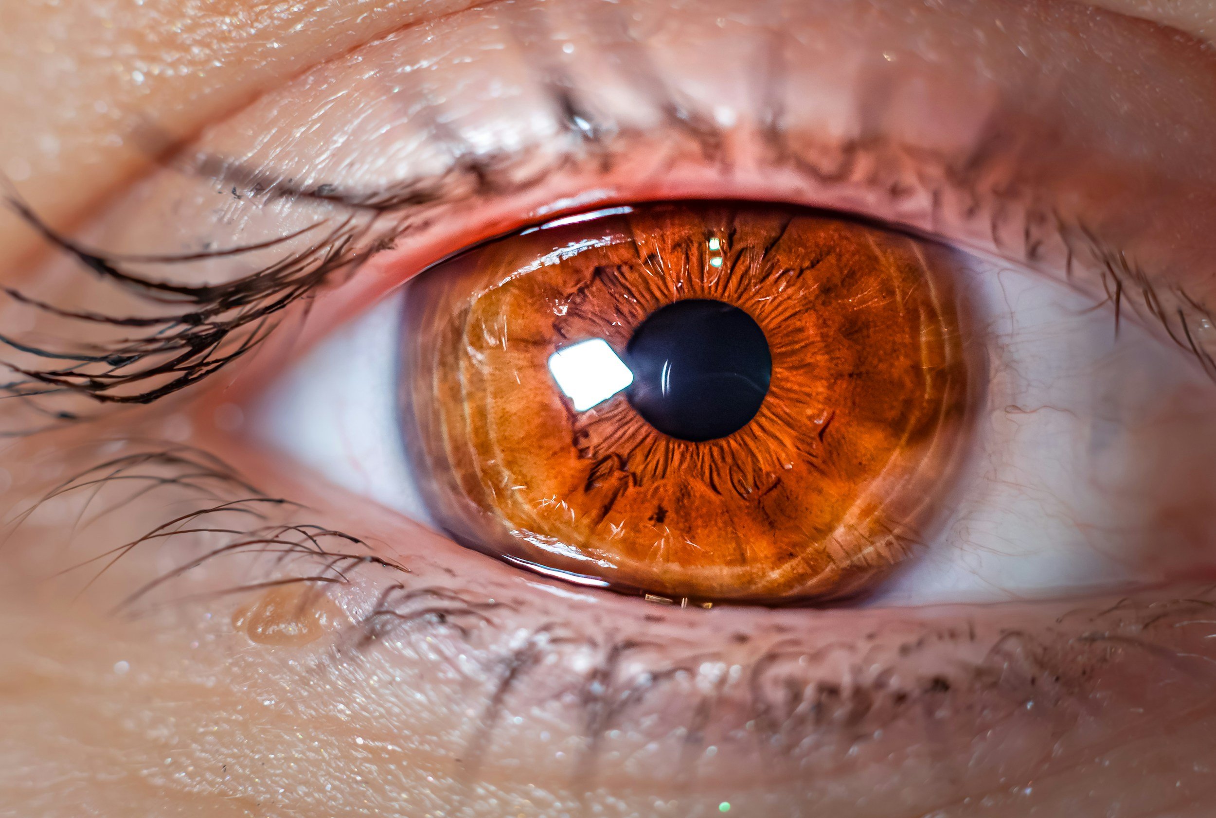 Close-up of a human eye with a brown iris, detailed eyelashes, and visible eyelid skin.