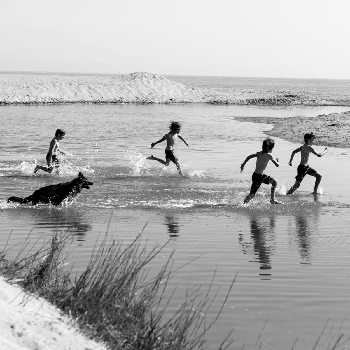 Four children running and splashing in a shallow body of water next to a shoreline with a dog chasing behind them, in a black and white photo.