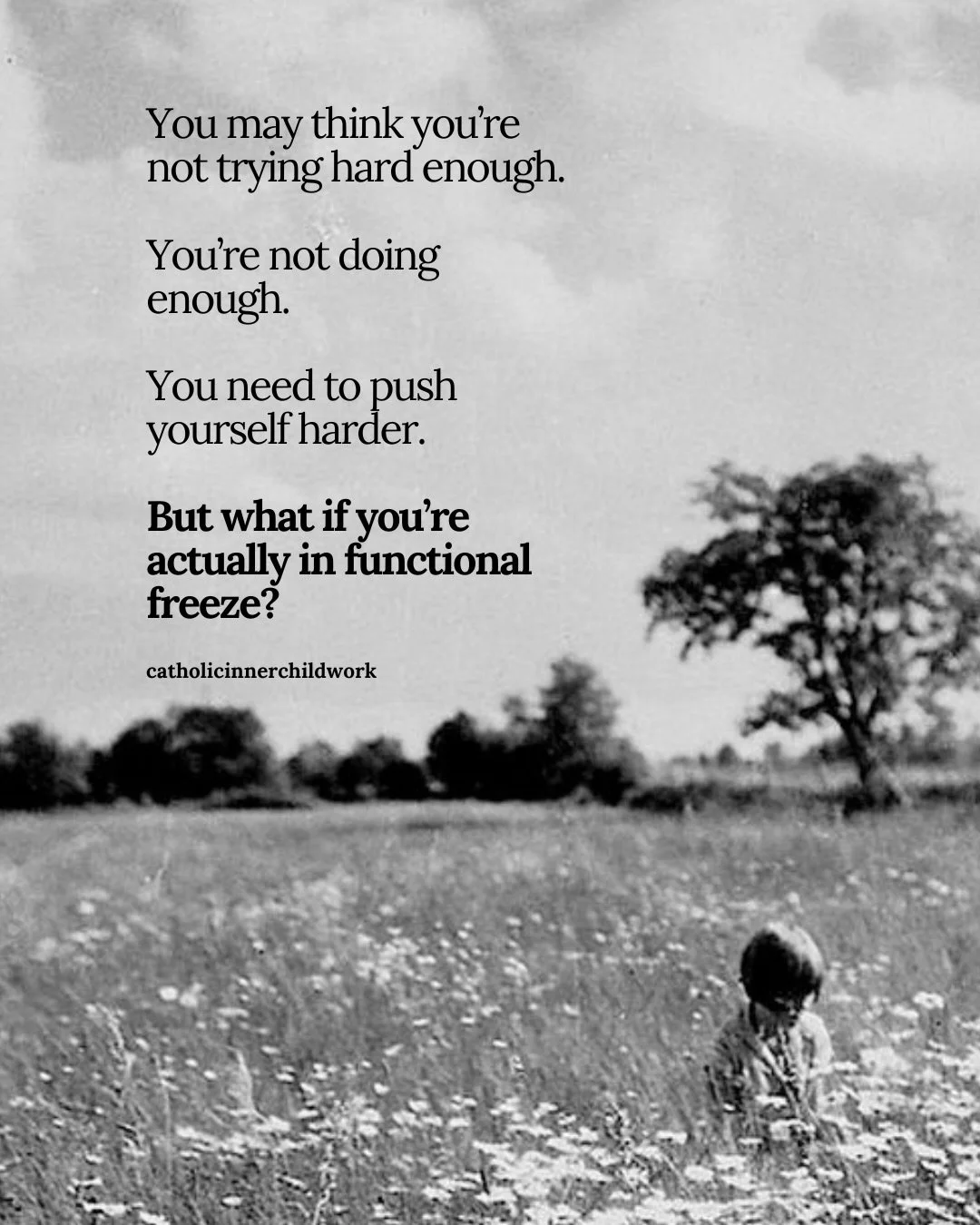 For the child of God in functional freeze, this one is for you. 

One of the hardest impediments to growth in the spiritual and emotional life is shame. 

Shame around not being enough or trying hard enough... 

But when we&rsquo;re able to see what&