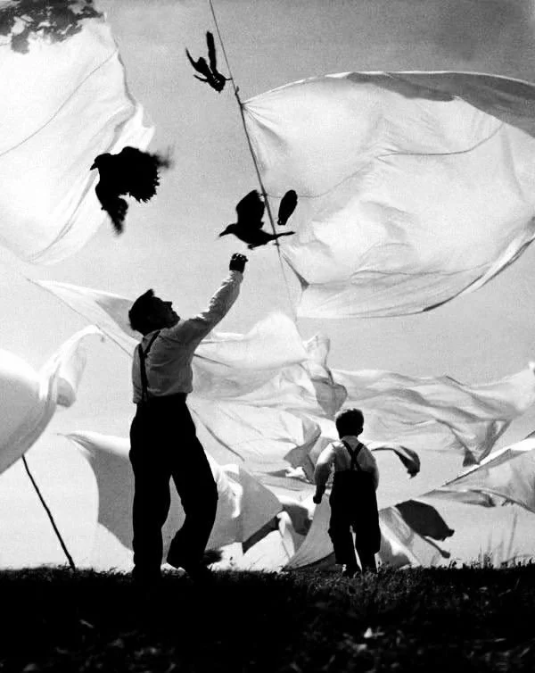A man and a boy flying a large kite in a field, with the kite's fabric billowing in the wind under a clear sky.