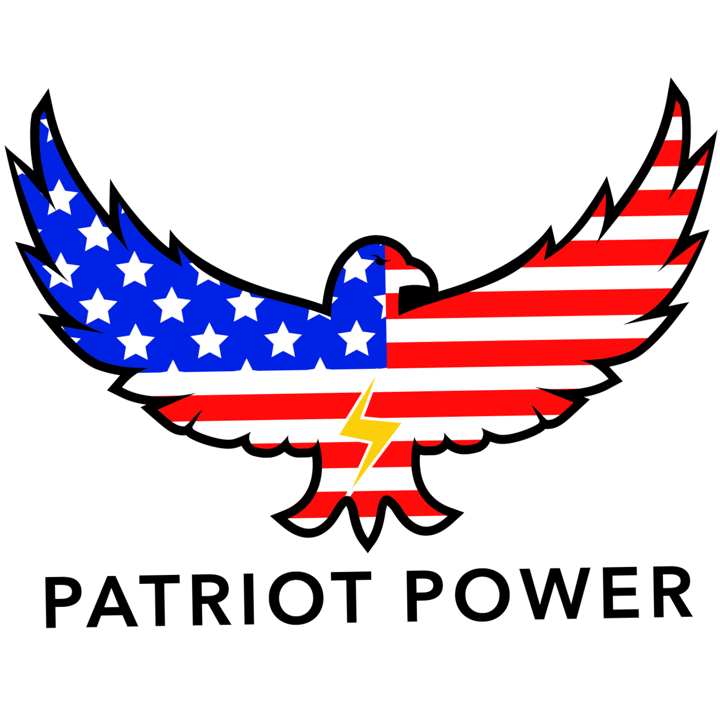 Stylized eagle with American flag pattern on its wings and body, yellow lightning bolt on its chest, and the words "Patriot Power" below.