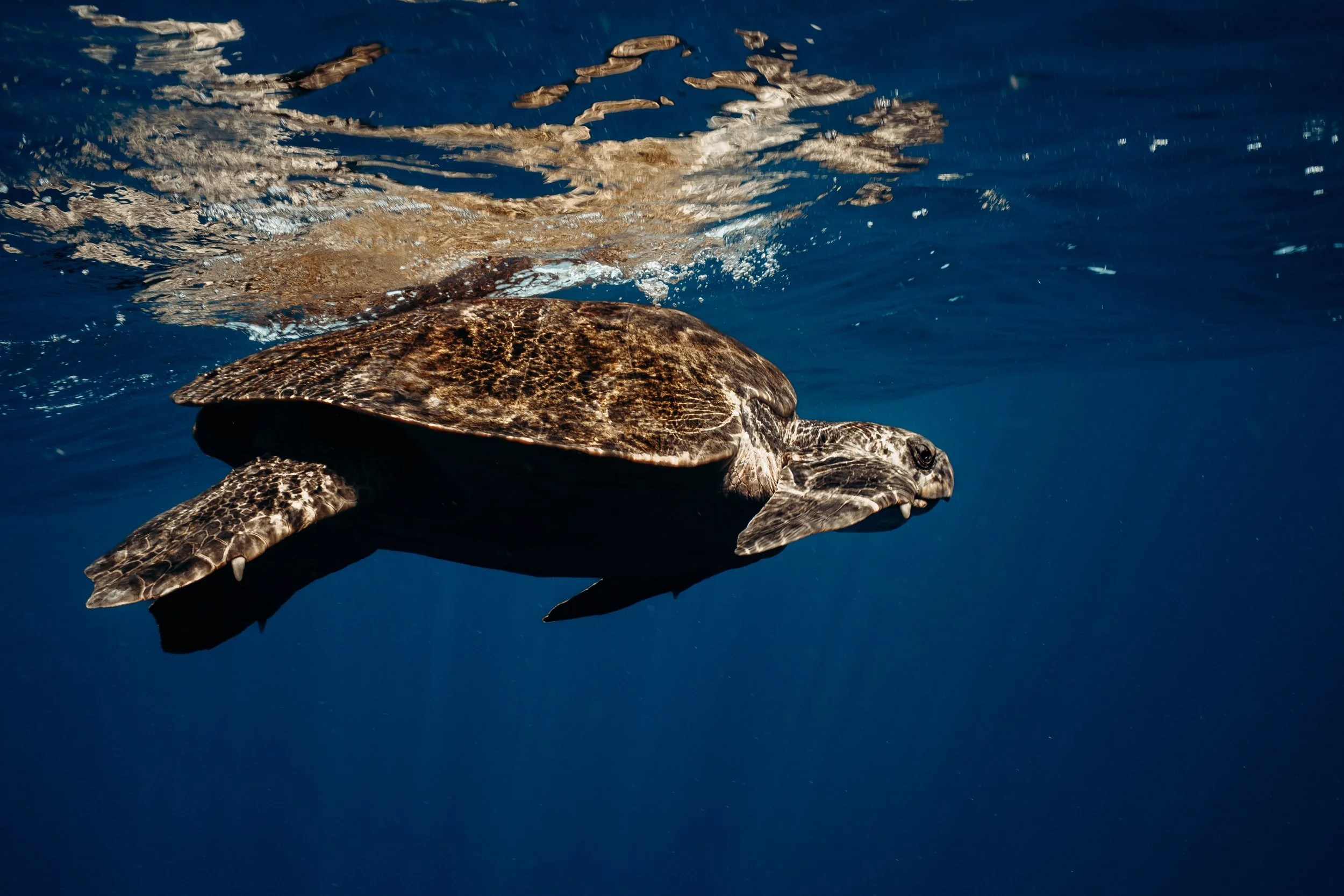 _DSC5580 7.03.29 PM.jpg