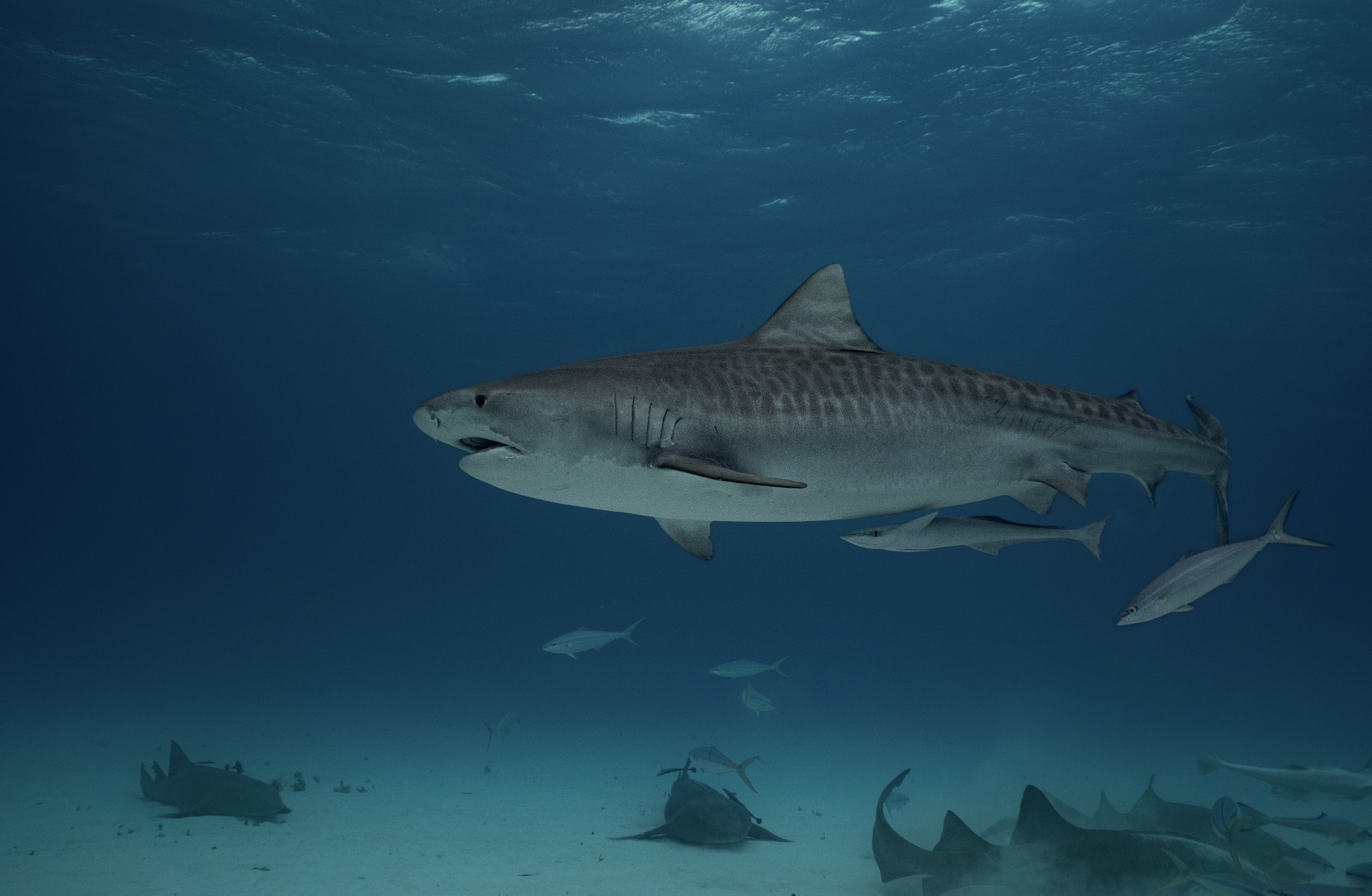 Screenshot 2026-01-23 at 10.54.44 AM.png