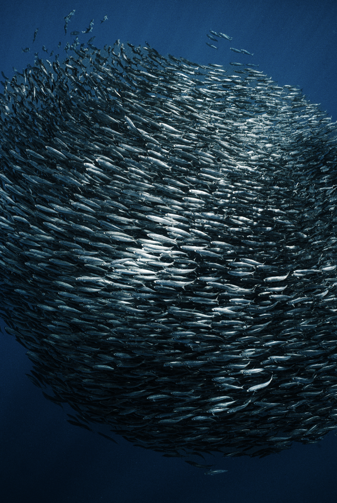 Screenshot 2025-12-29 at 2.32.04 PM.png