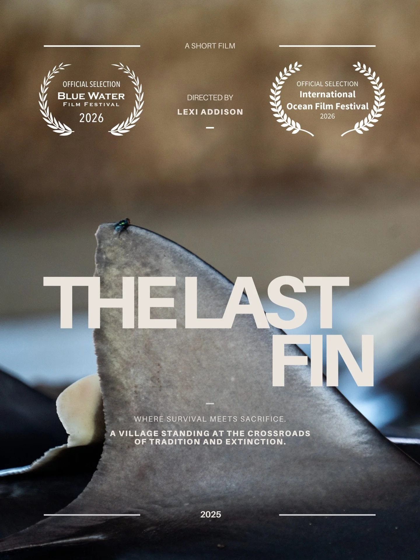 I&rsquo;m proud to share that The Last Fin is heading to the International Ocean Film Festival 🎥🌊

It&rsquo;s a story about real people navigating generational tradition, economic survival, and a rapidly changing ocean &mdash; centered on shark fis