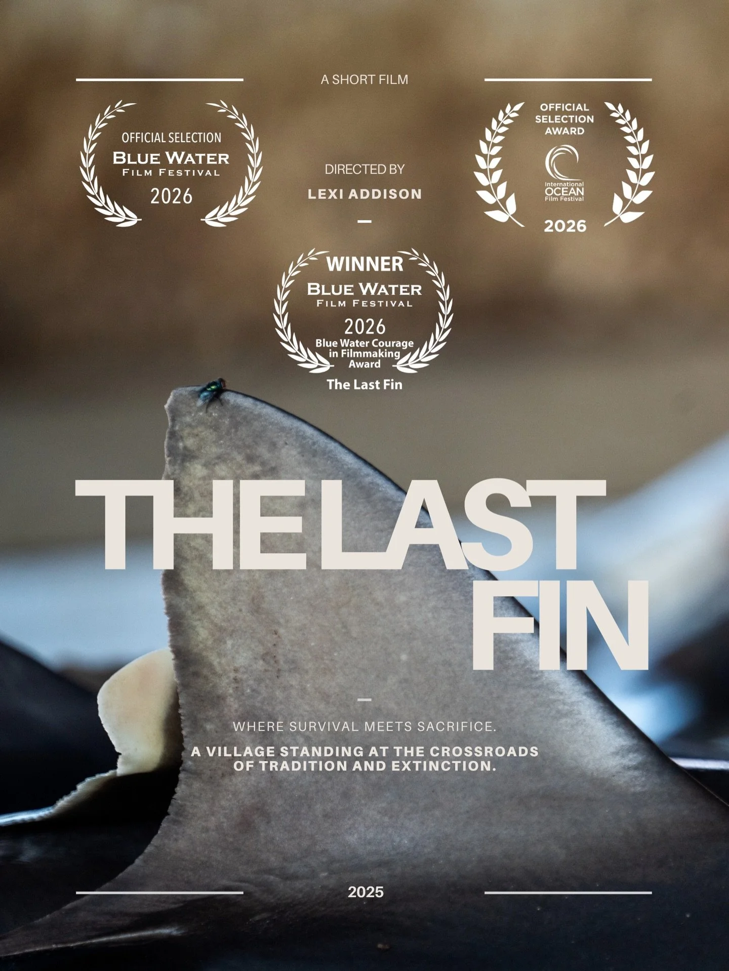 Join me this weekend in SF 🐋

I&rsquo;m so excited to share that The Last Fin is screening at the @intloceanfilmfest 🤍

📍 San Francisco
🗓 Saturday
⏰ 10:00 AM

If you&rsquo;re around this weekend, I would love to see you there!
Tickets linked in m