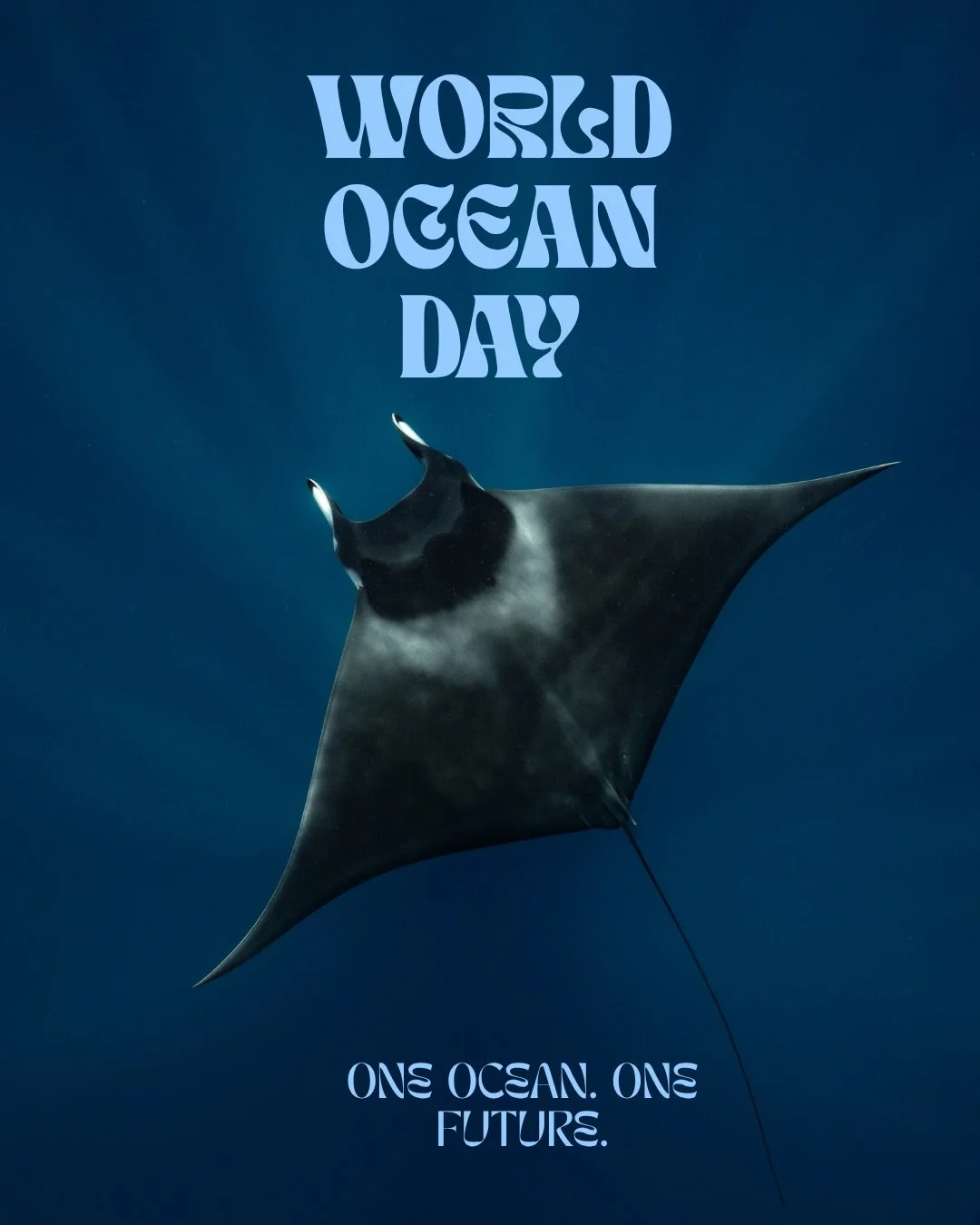 The ocean is more than a place.

It&rsquo;s a source of life, connection, wonder, and resilience.

Today, we celebrate the ocean and recognize the role each of us plays in protecting it for future generations.

Happy World Ocean Day! 🌊

#WorldOceanD