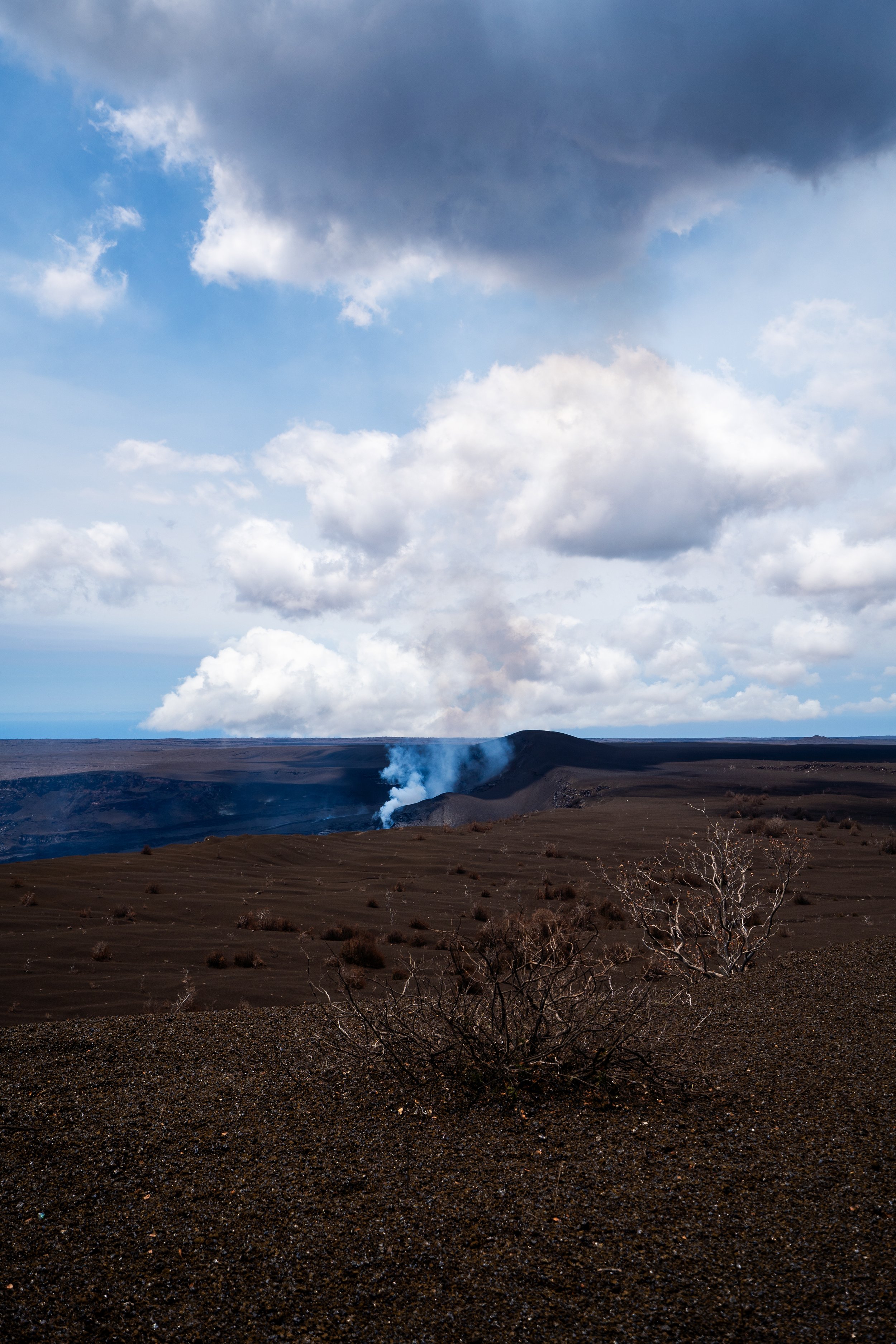 _DSC5821.jpg
