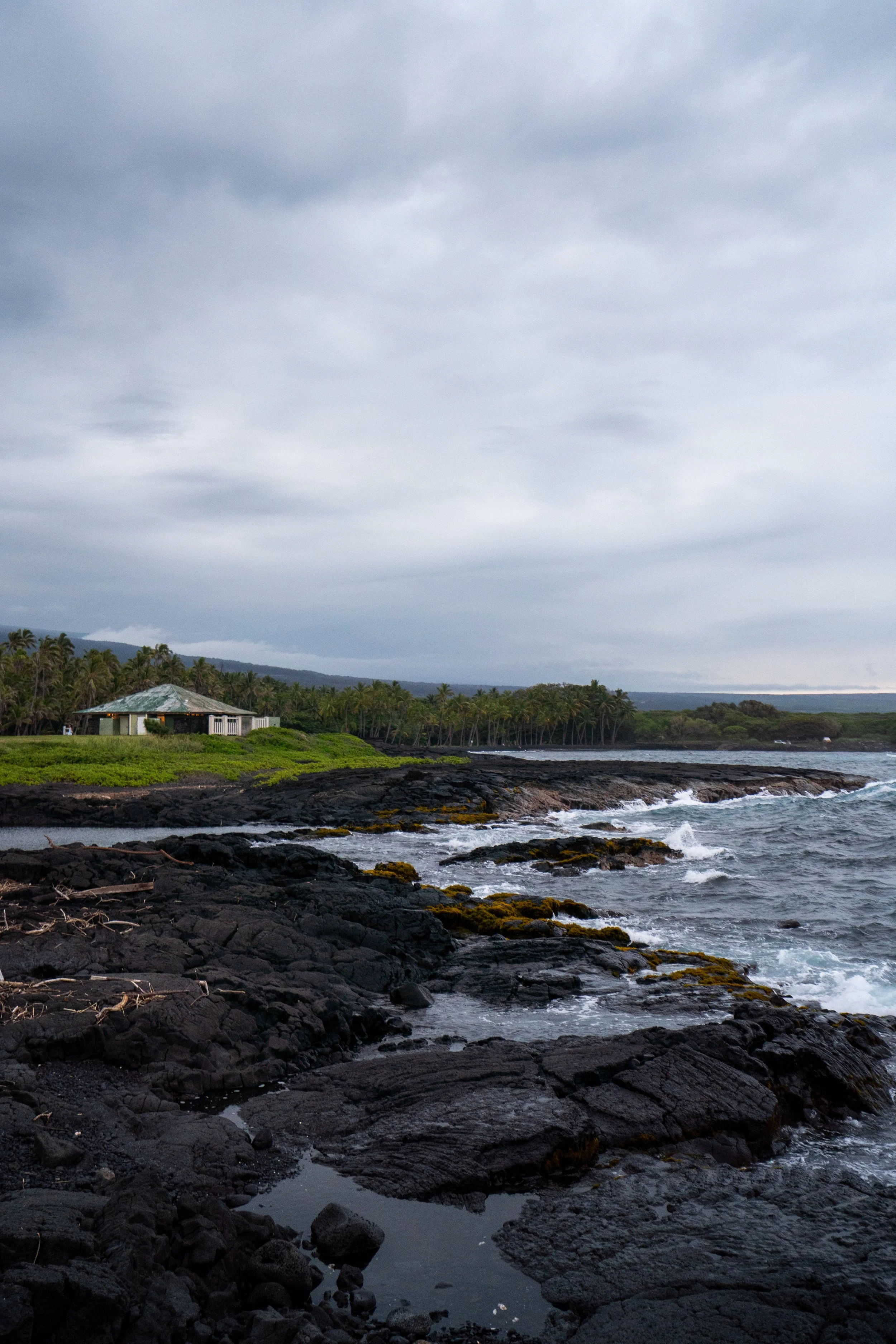 _DSC5878.jpg