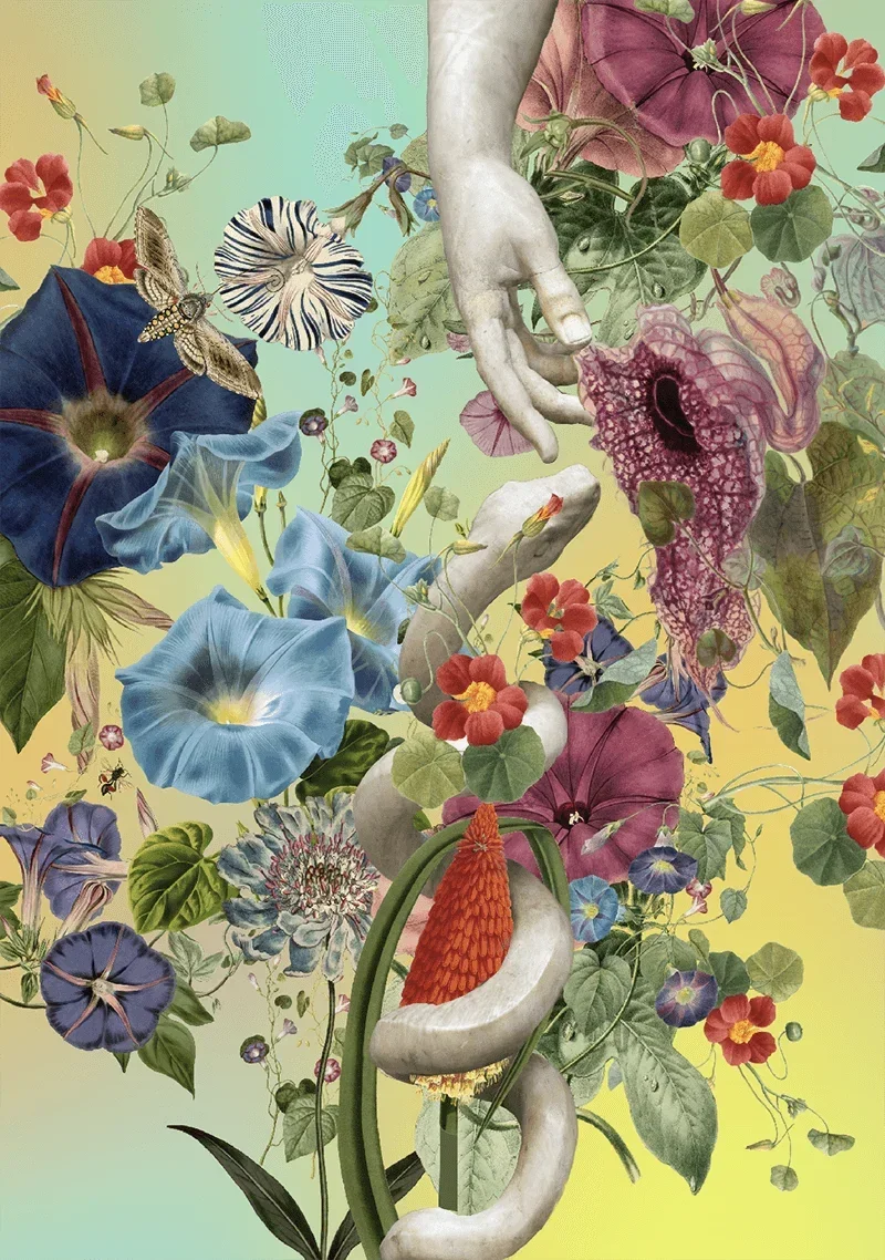 BEAUTY! a solo exhibition at Mucciaccia Gallery, Rome