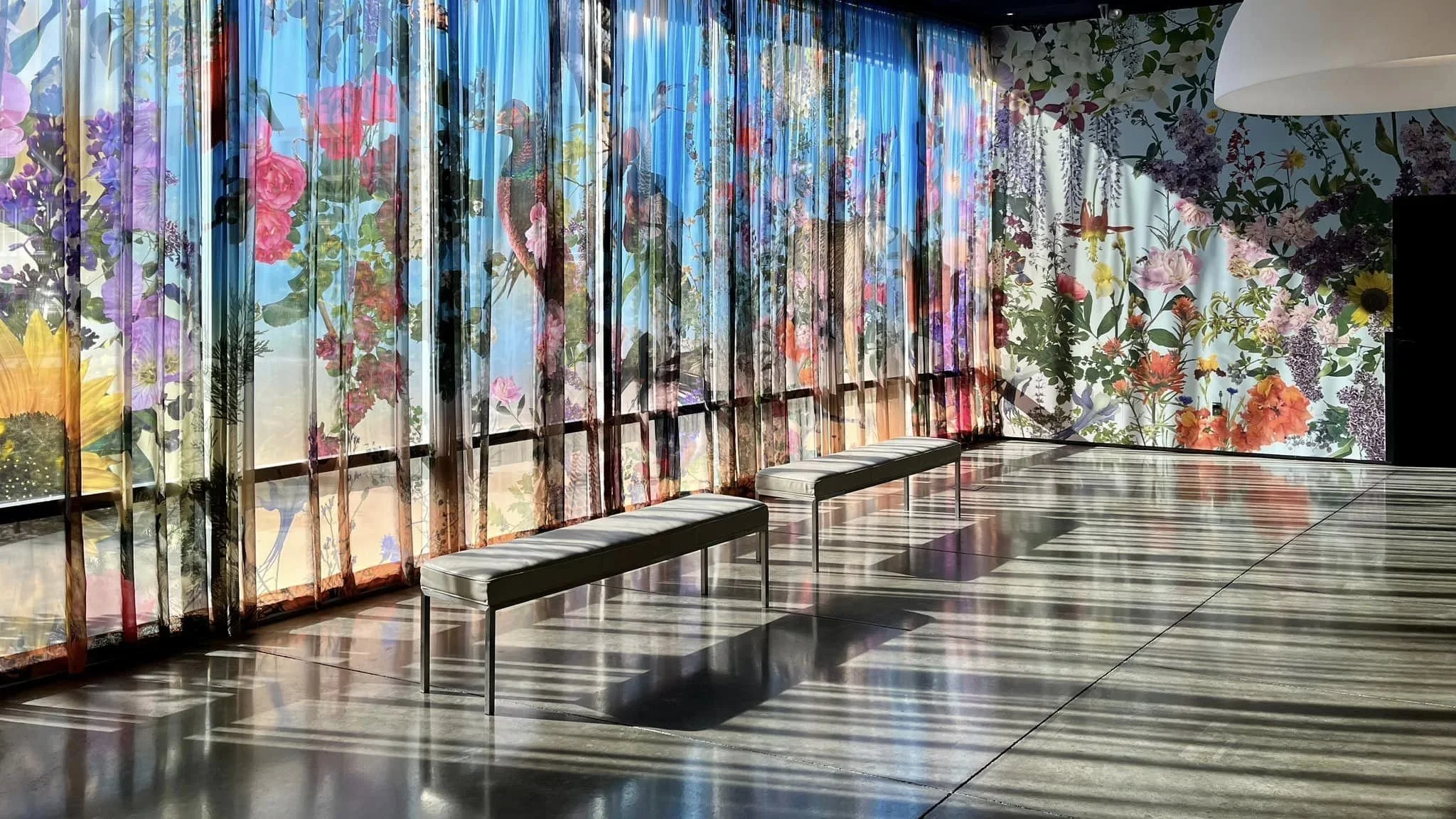 Nevada Museum of Art - a new permanent installation