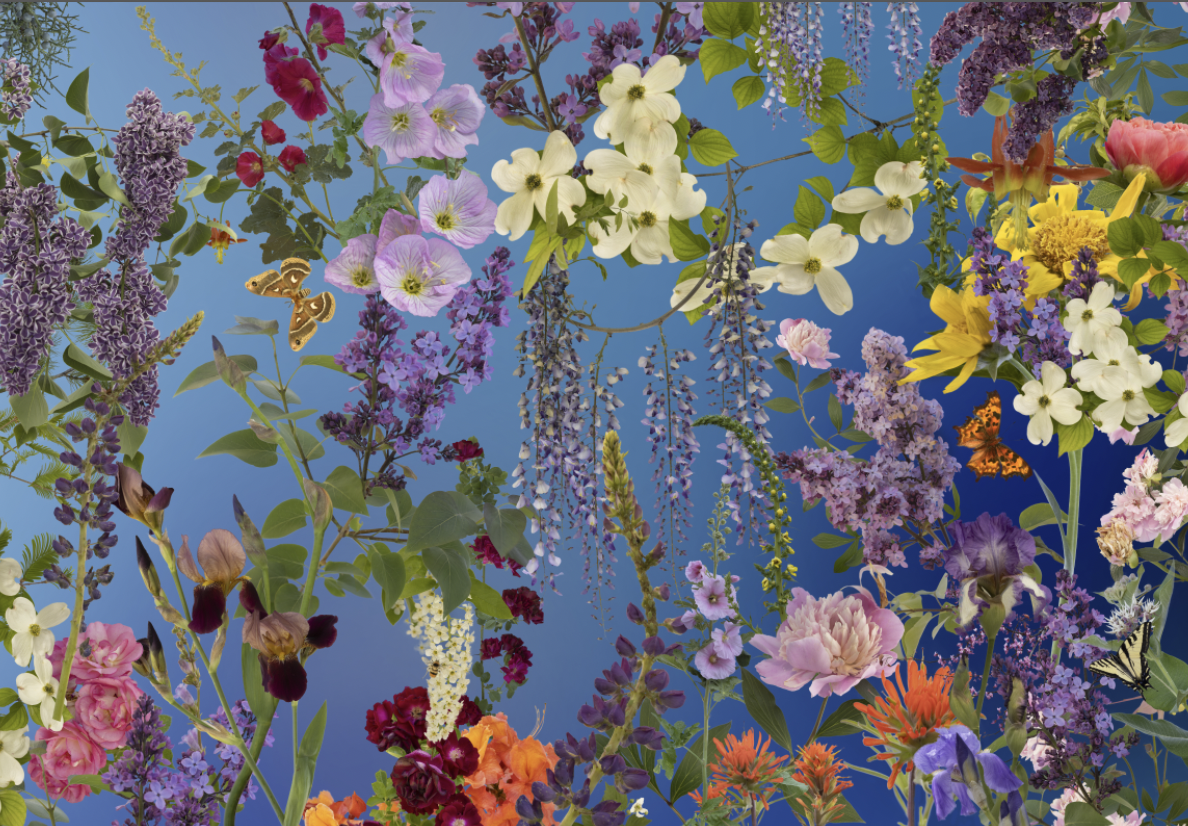 a detail of the installation,  Power of Pollinators (And Other Living Things), Fallen Fruit (David Allen Burns and Austin Young) 2025, Nevada Museum of Art, Reno, Nevada