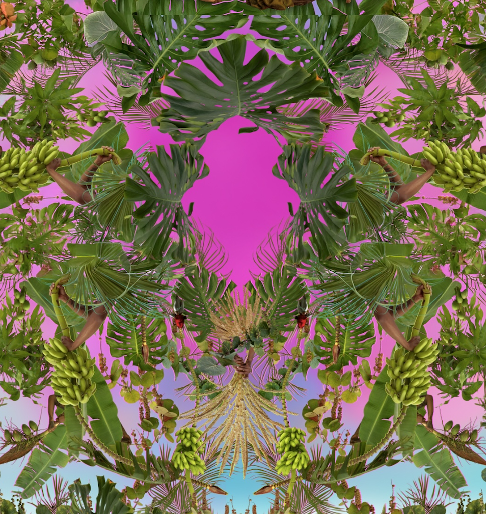 A sketch for All Tomorrows-Parties, Fallen Fruit, 2026,  commissioned by The Bunker Artspace,