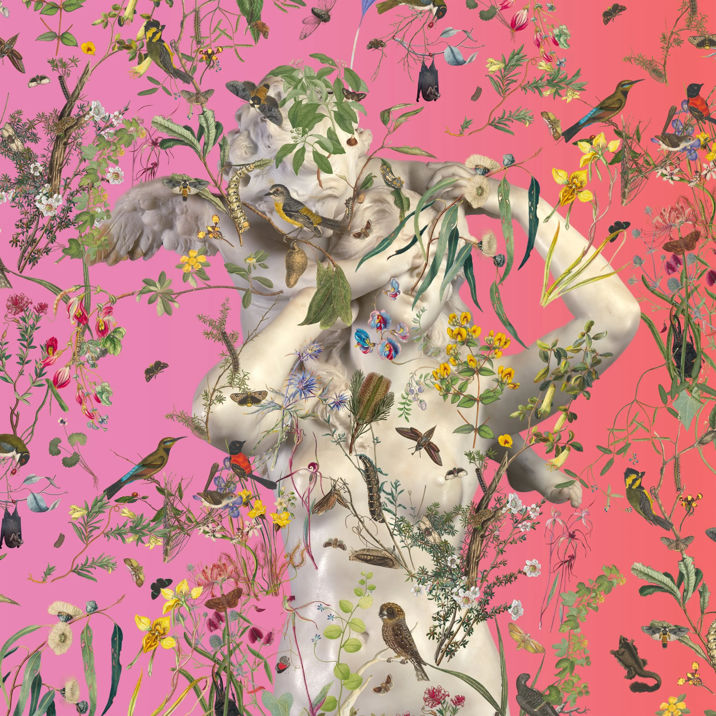 a sketch for Natural History, Austin Young and David Allen Burns, 2021, NGV Triennial, Melbourne,
