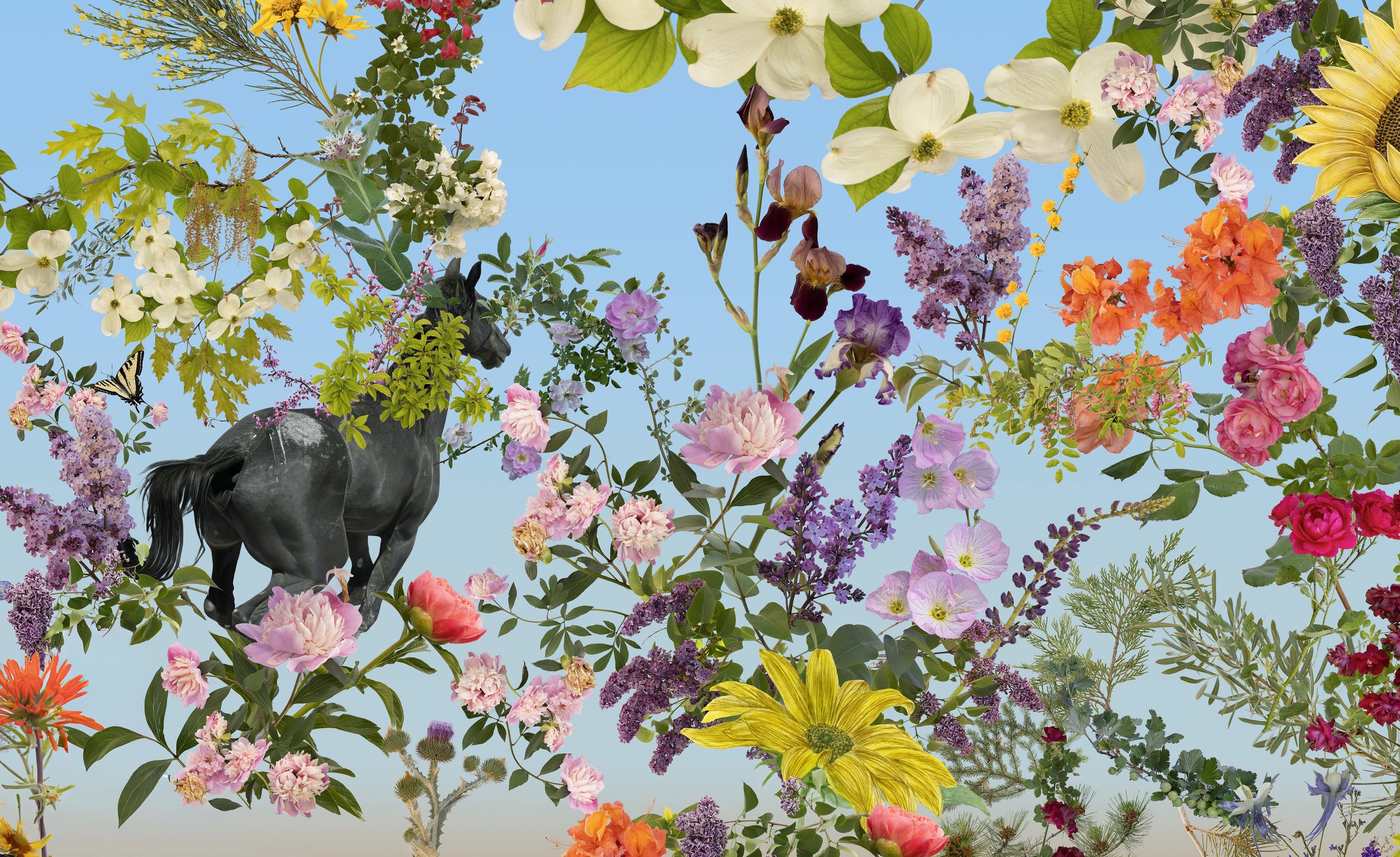 detail of Power of The Pollinator (And Other Living Things), Fallen Fruit (David Allen Burns and Austin Young) 2025, Nevad Museum of Art, Reno Nevada