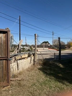 f55df2a9-0ae5-4c48-8bb1-a6c9f297819c.jfif