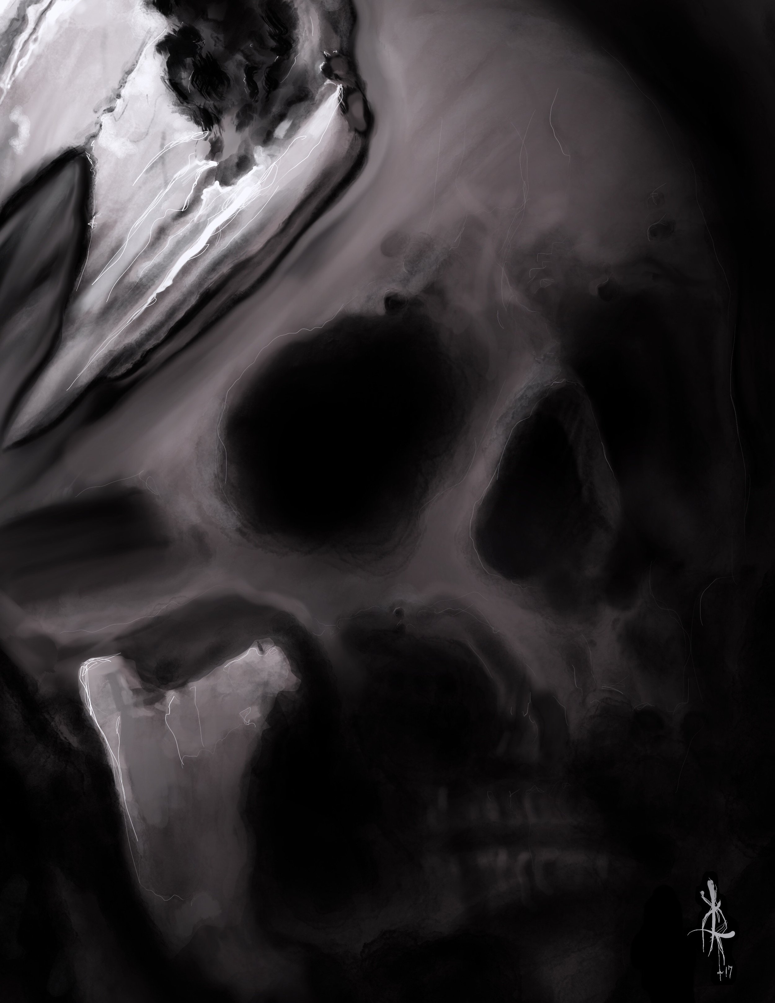 A black and white digital illustration of a human skull viewed from a side angle. The skeletal structure is detailed with shading and highlights, with emphasis on the eye socket, nasal cavity, and jaw.