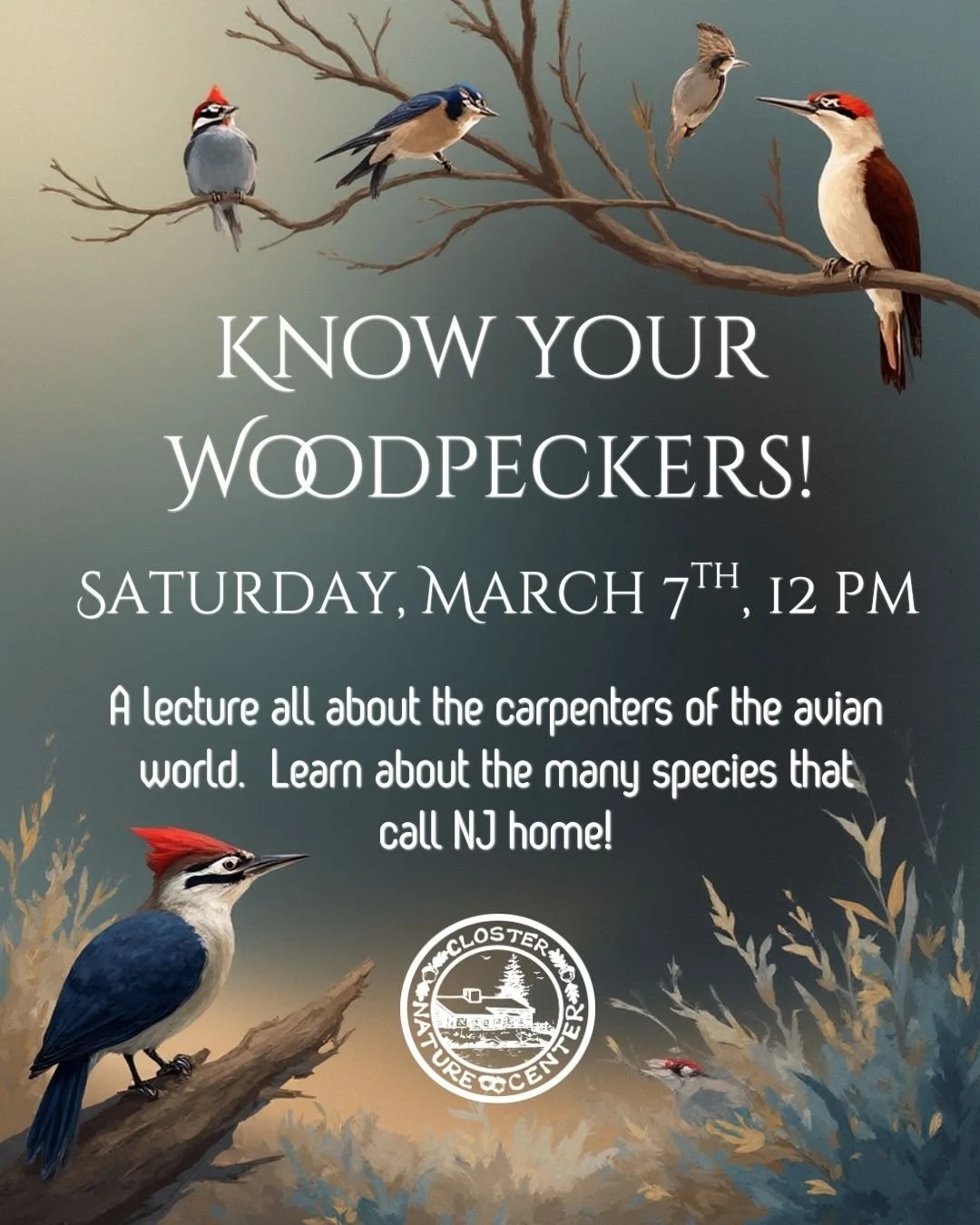 LECTURE: KNOW YOUR WOODPECKERS