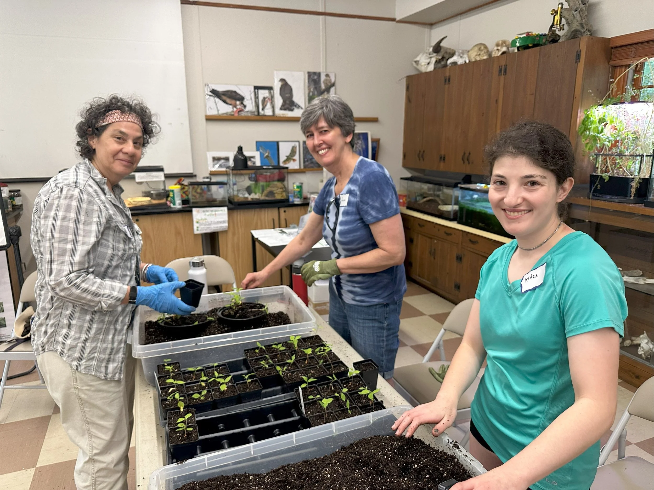 Seedling Potting with Wild Woods Restoration